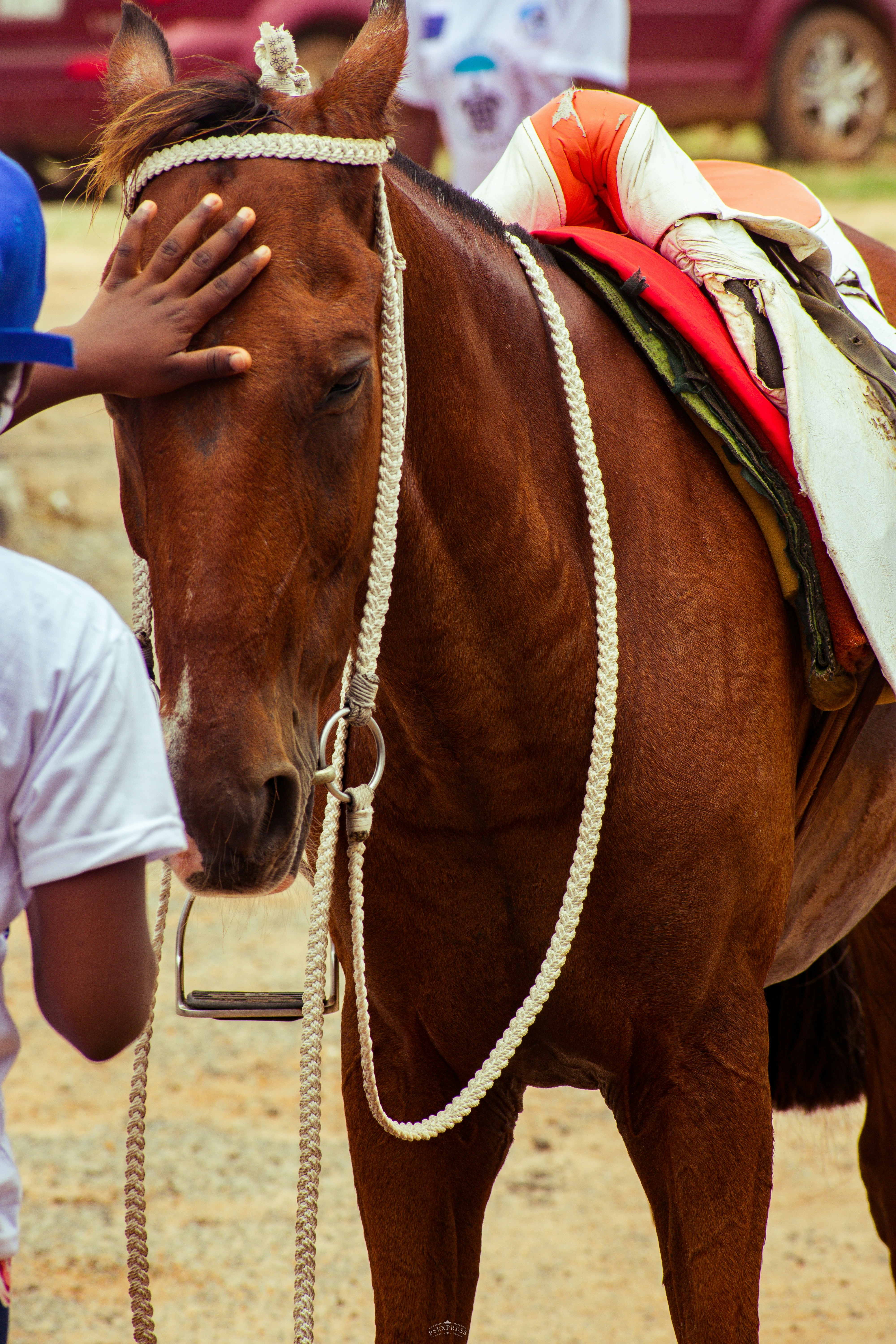 person in white shirt riding brown horse during daytime