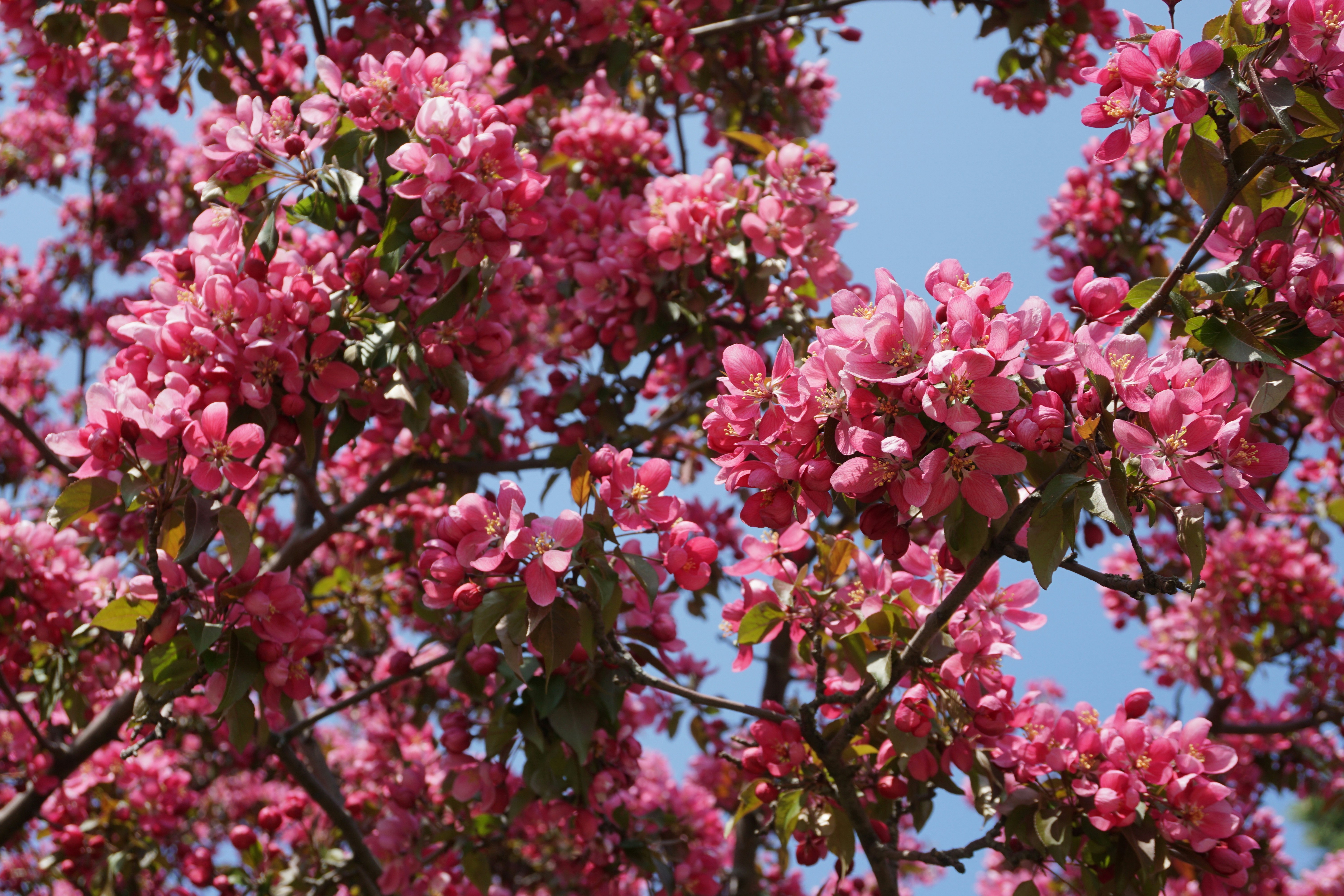 Photo by amandamariacanas