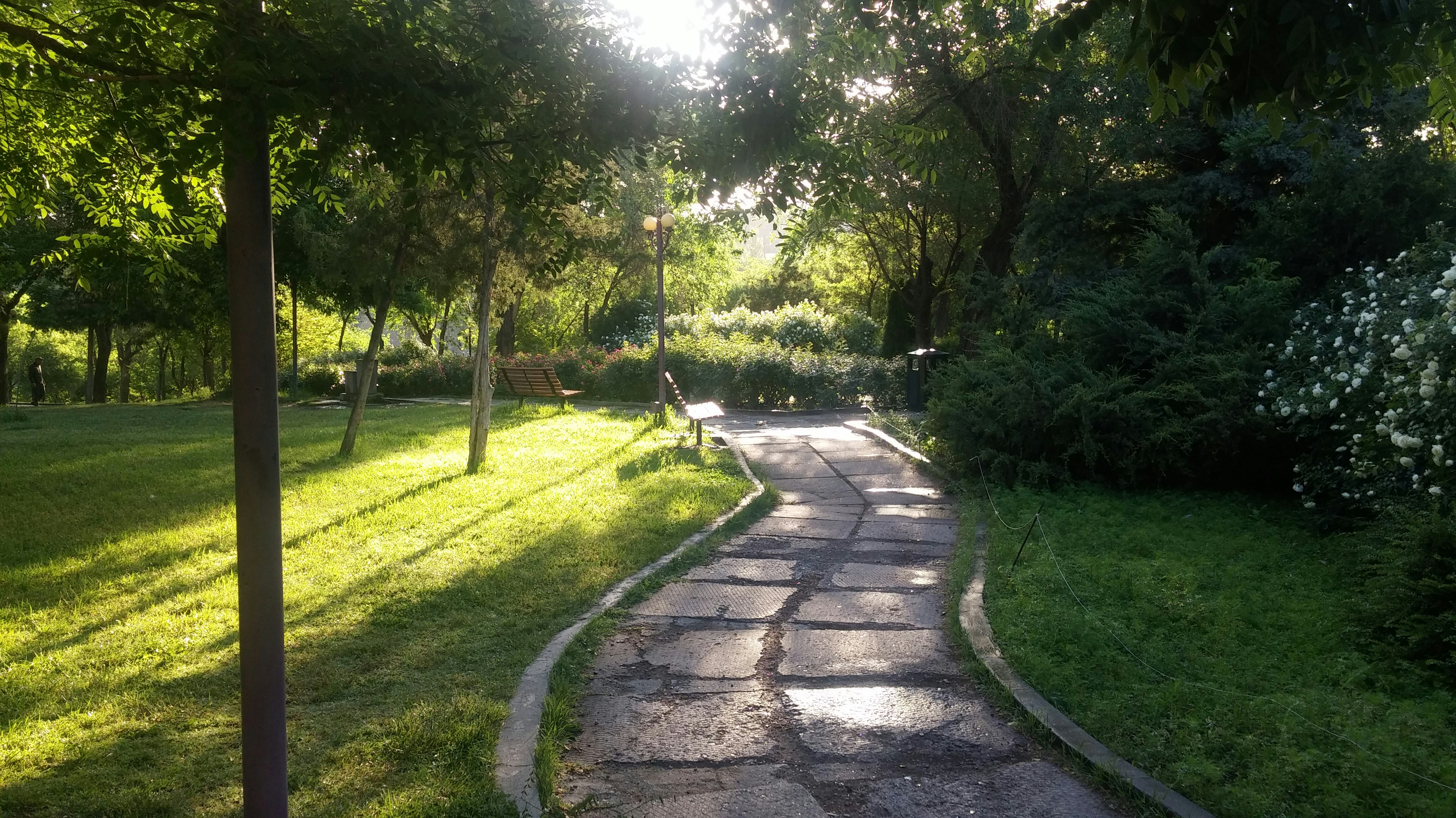 Photo by Anushik Hovhannisyan