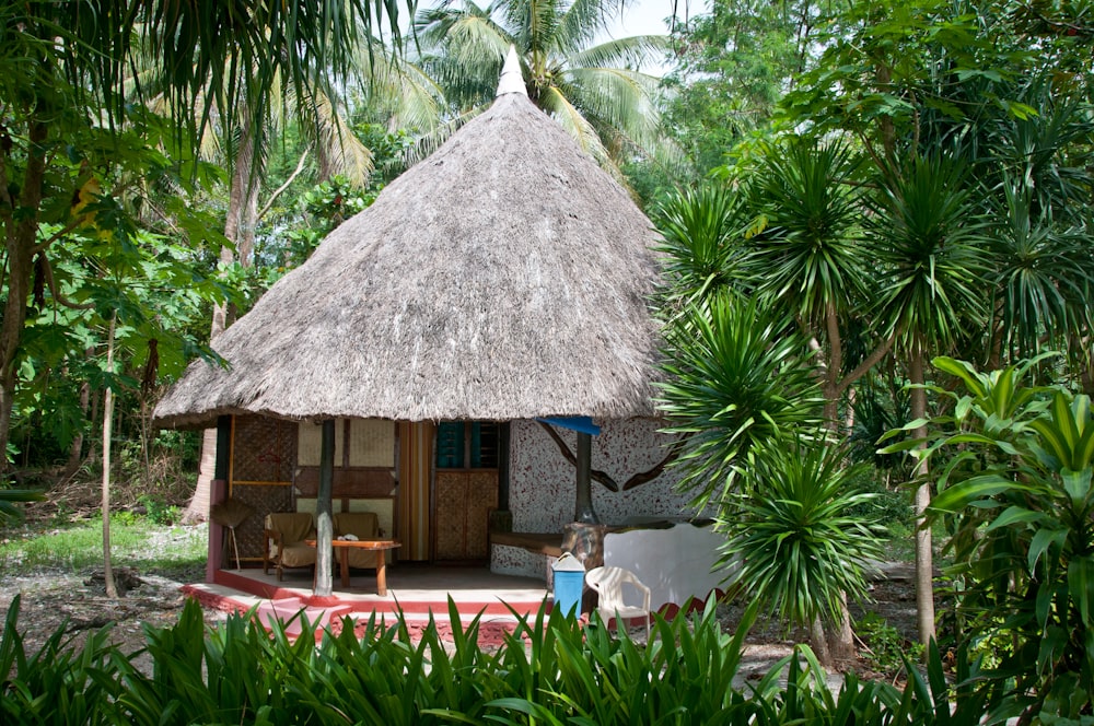brown nipa hut near palm tree during daytime