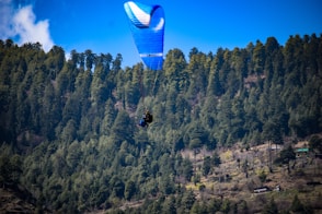 person in black jacket riding blue and white parachute over green trees during daytime