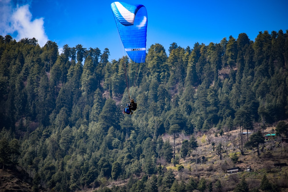 person in black jacket riding blue and white parachute over green trees during daytime