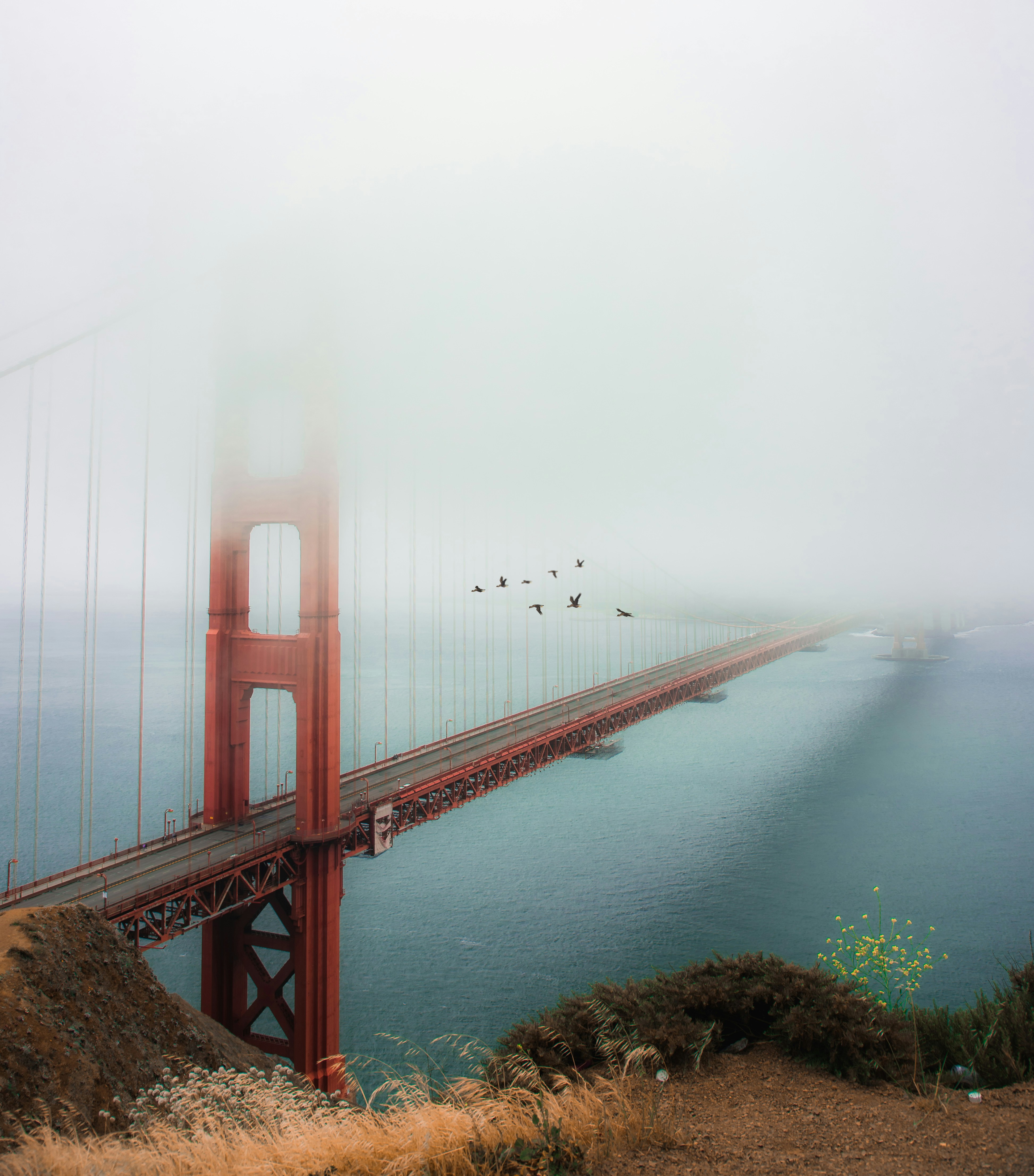 Photo by parsamphotography