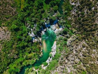 A dramatic overhead shot of a winding river cutting through a tropical landscape, with bright foliage popping against dark purple water.