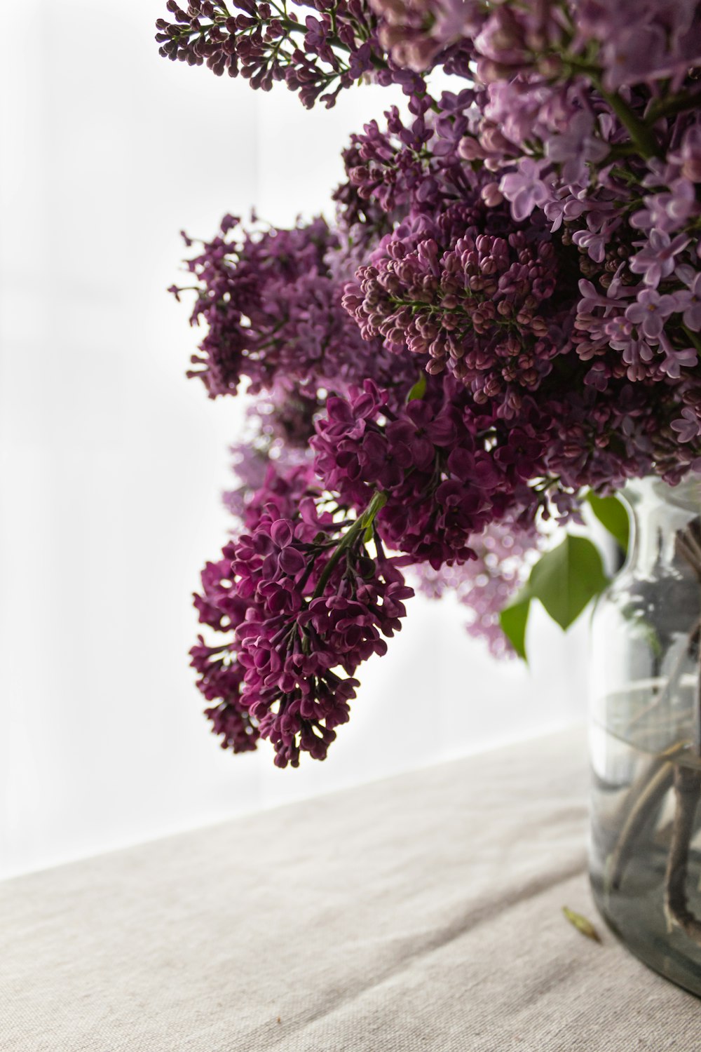 purple flowers in clear glass vase