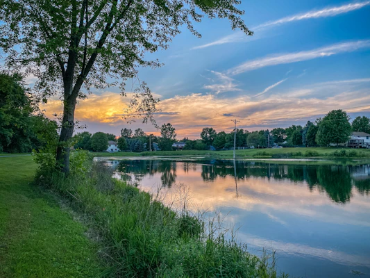Minnesota