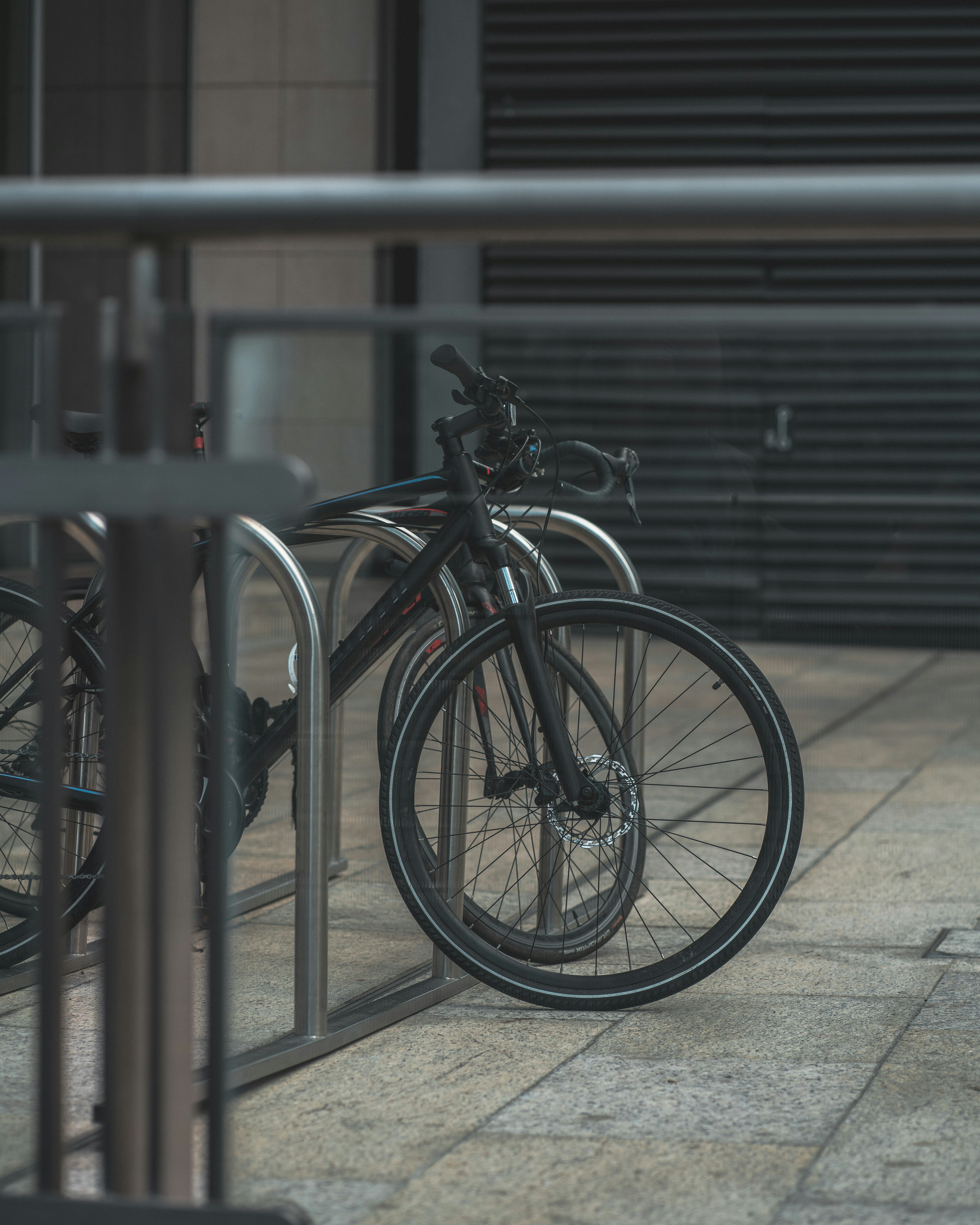 Photo by orangetiephotography