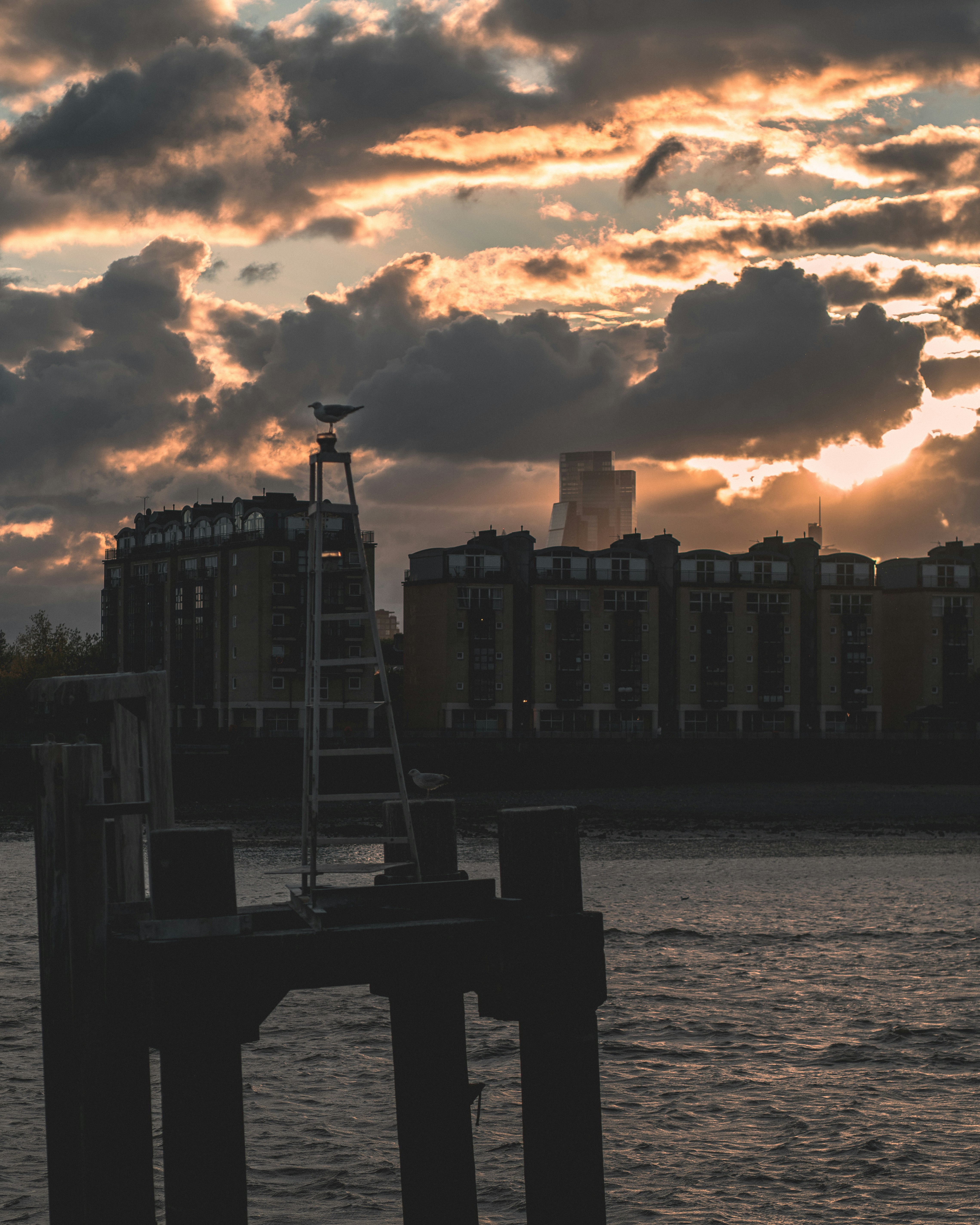 Photo by orangetiephotography