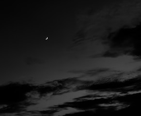 Black and white illustration of a night sky filled with stars and a crescent moon.
