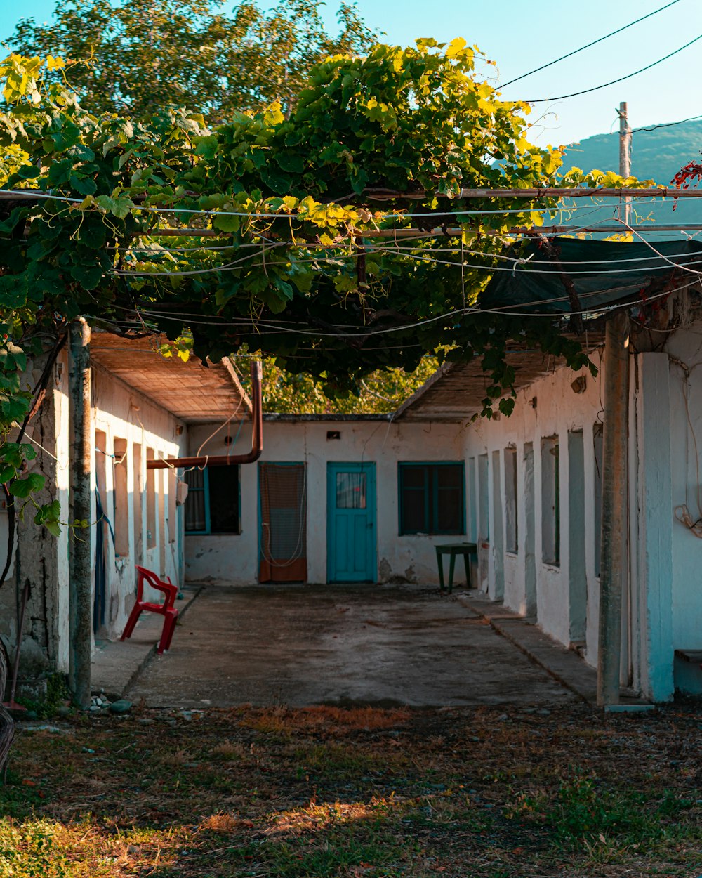 white and blue concrete house near green tree during daytime