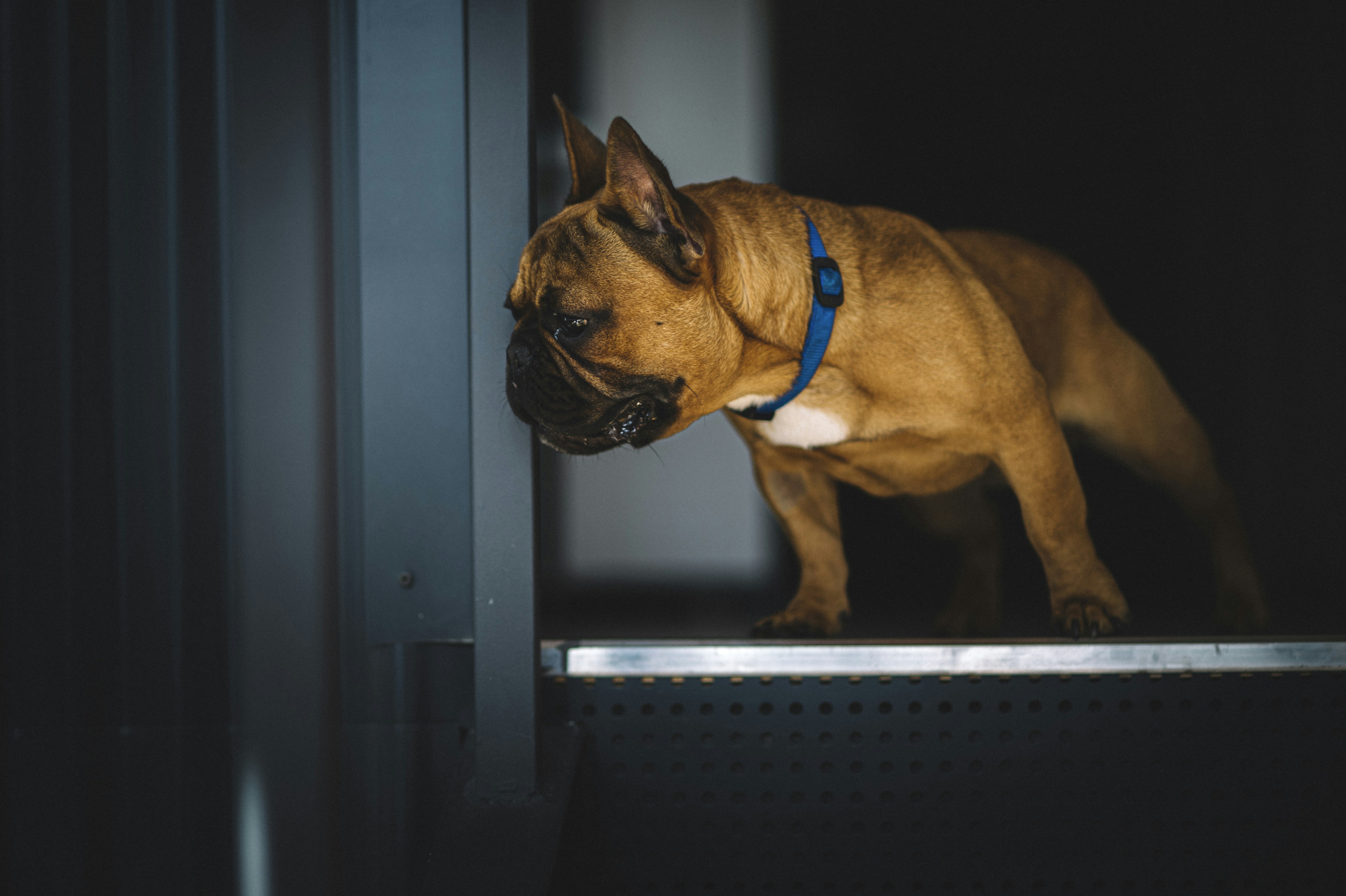 Photo by vonshnauzer