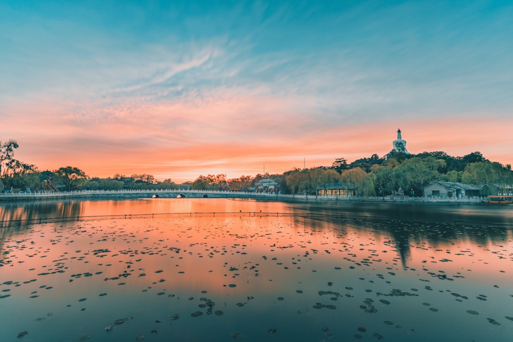 specchio d'acqua vicino agli alberi durante il giorno