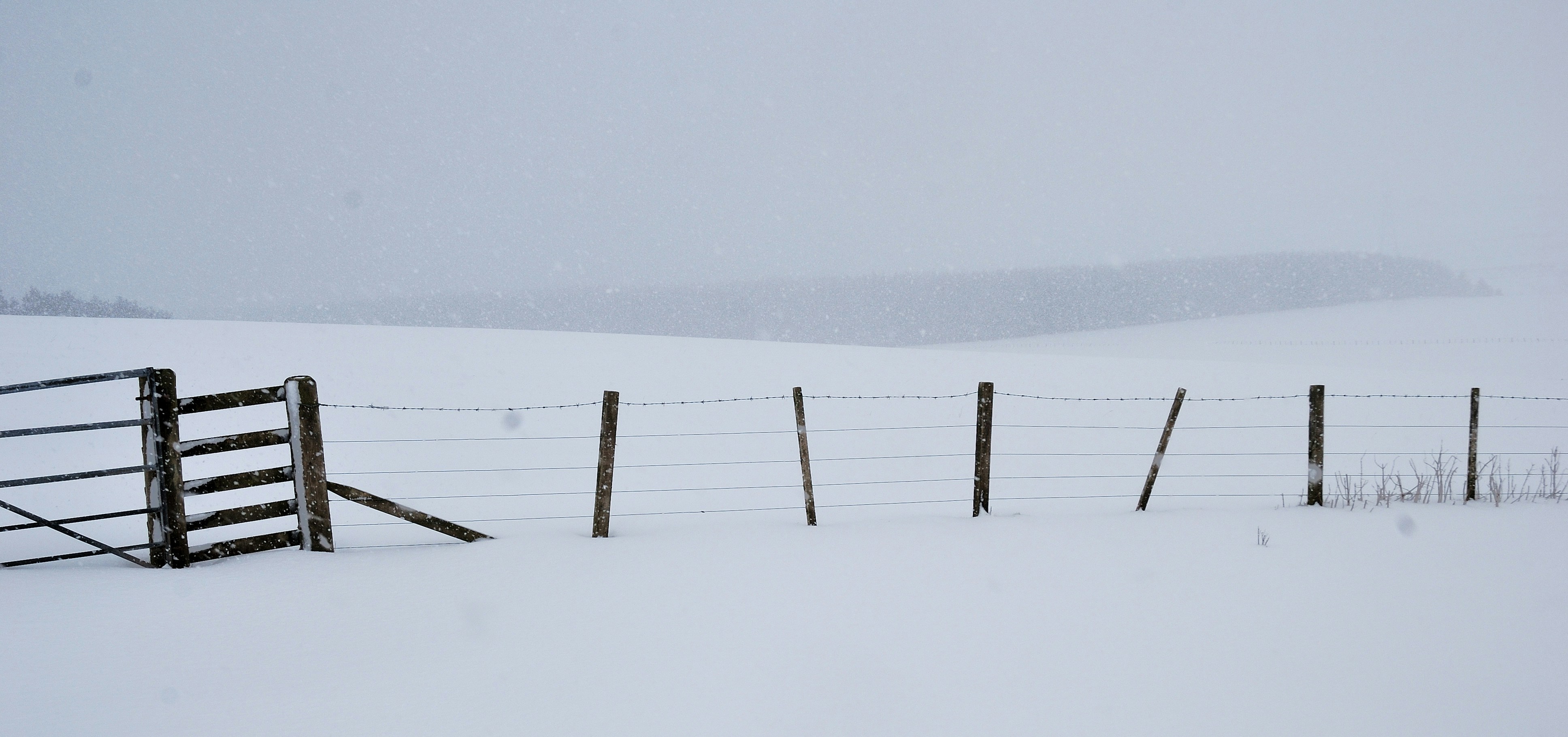 Photo by dralisonwoolley