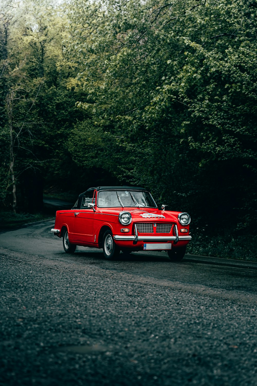 red car on road between trees during daytime