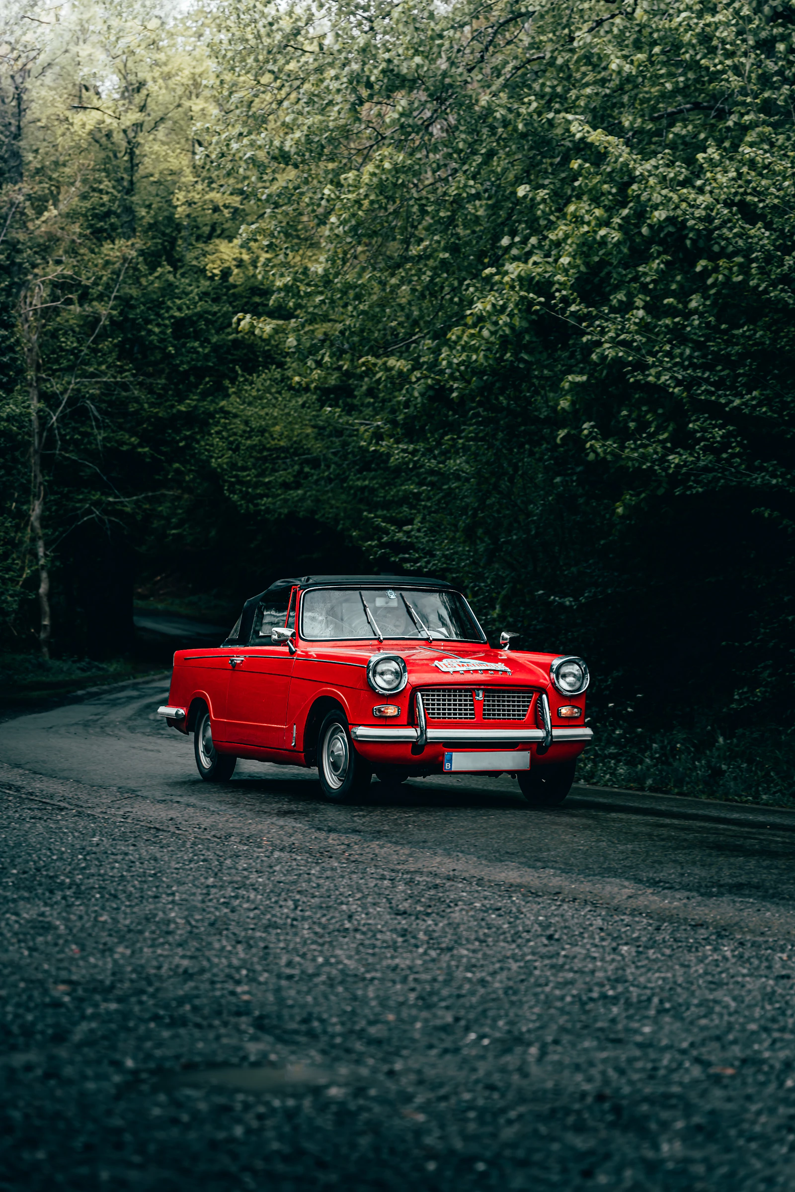 A small red car stopped on a forest road in the Belgian Ardennes