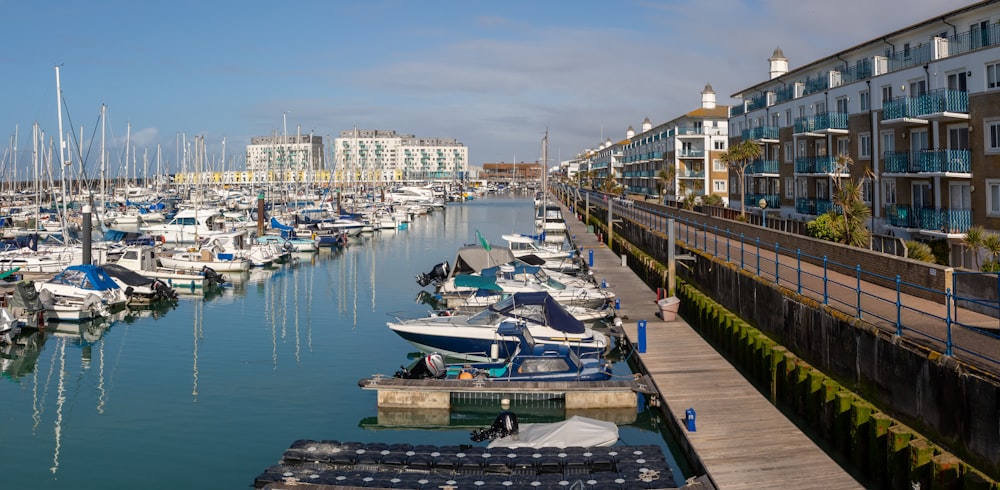 white and blue boats on dock during daytime