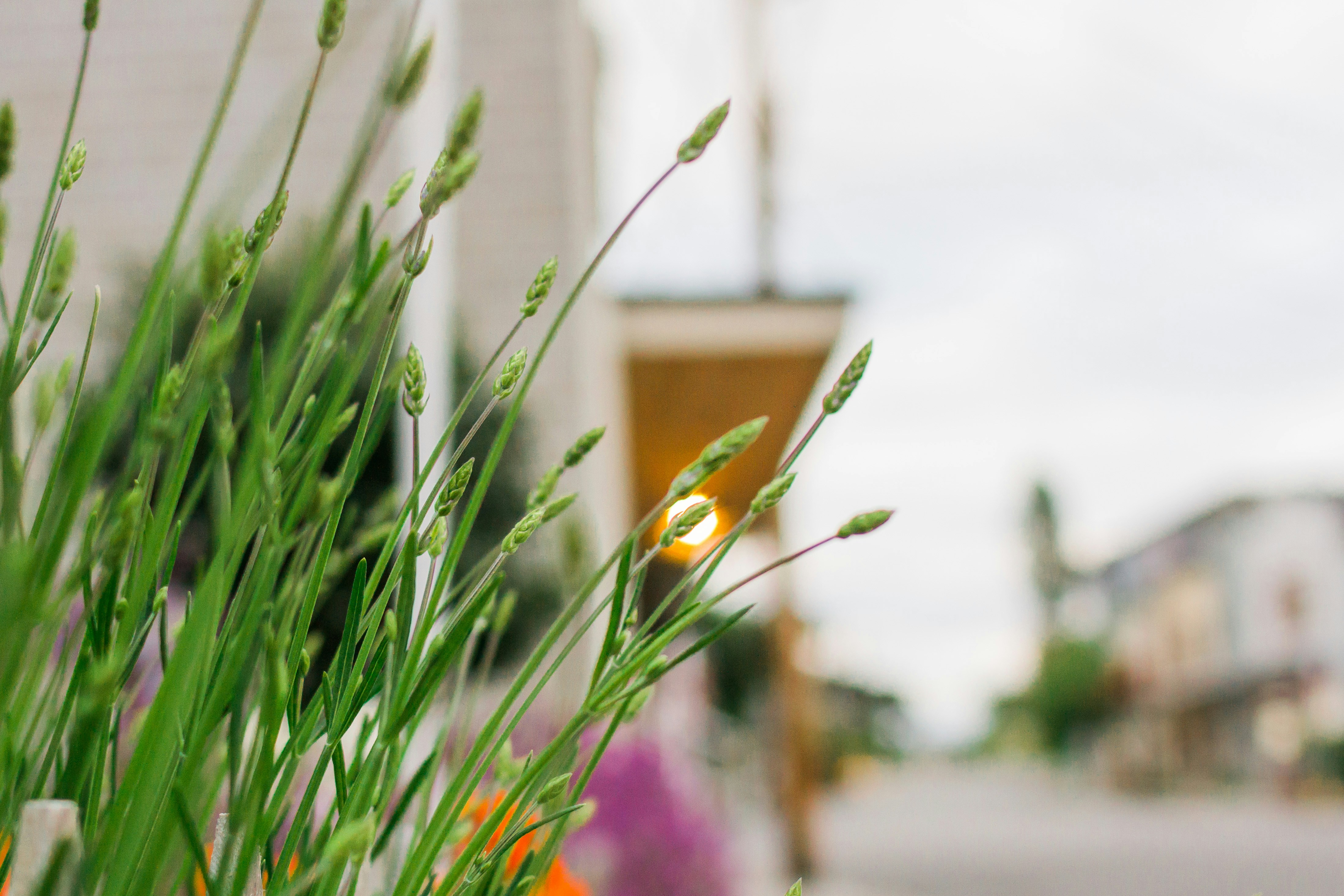 Photo by amyclarkcreative