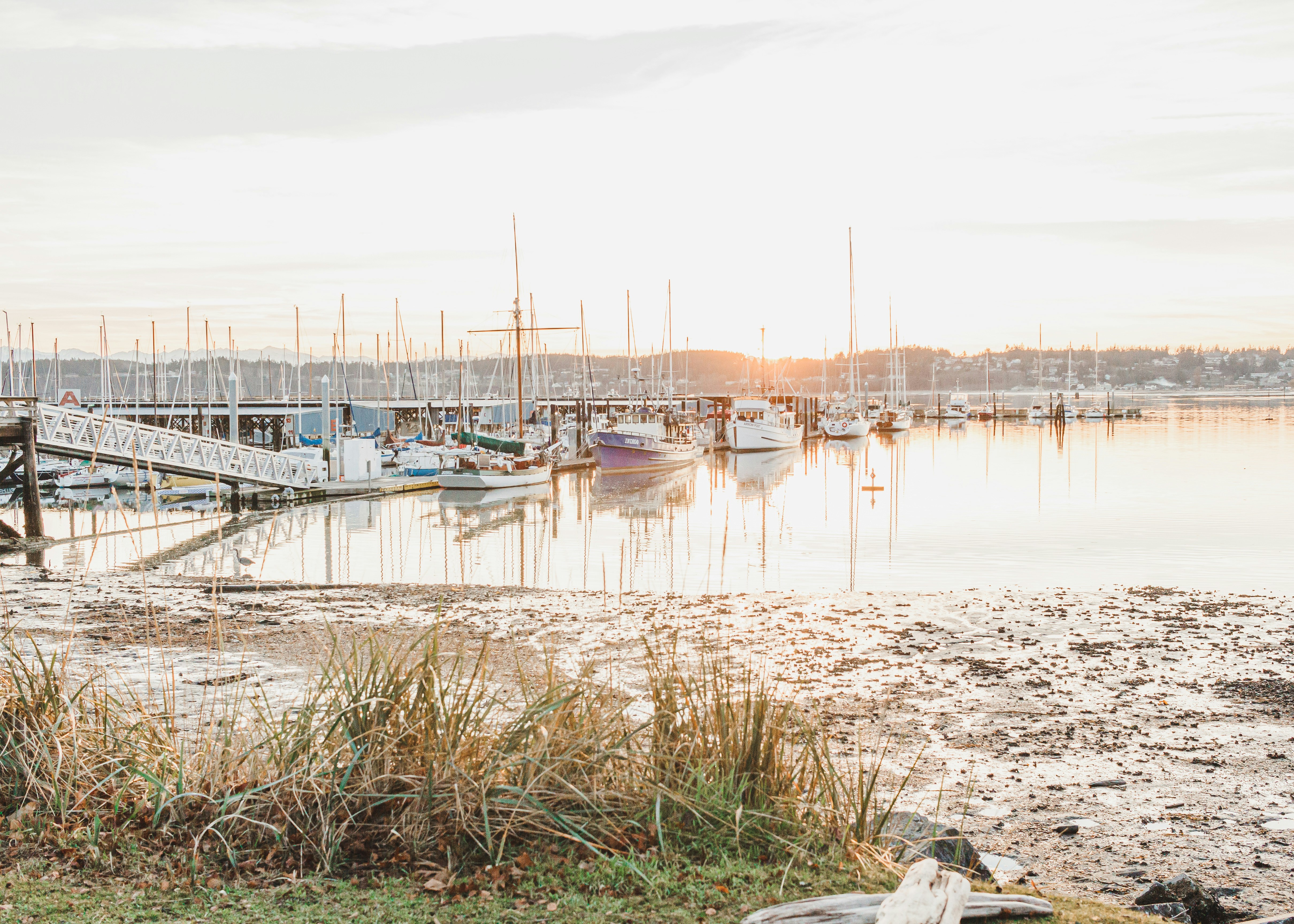 Photo by amyclarkcreative