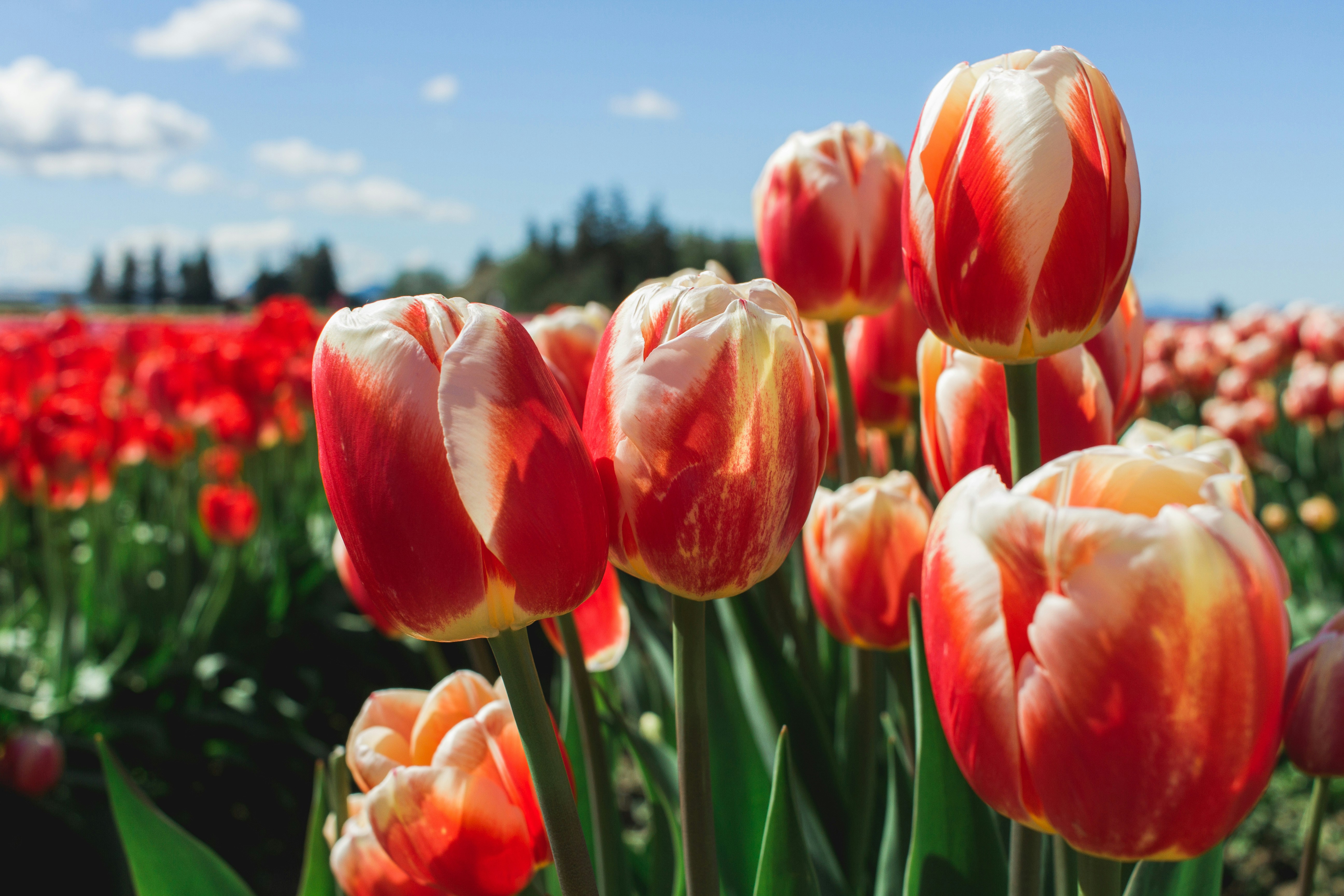 Photo by amyclarkcreative