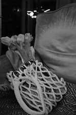 A cozy home setting with a package delivered at the doorstep.