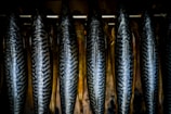 black and gray fish on black metal frame