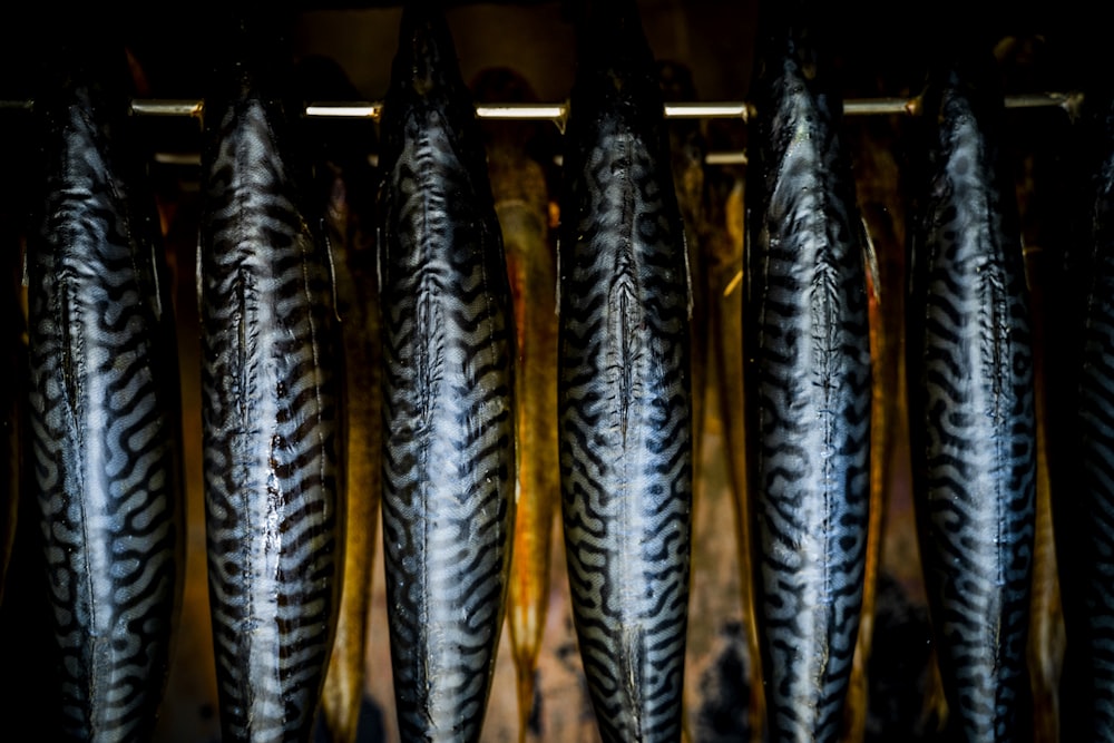 pesce nero e grigio su telaio in metallo nero