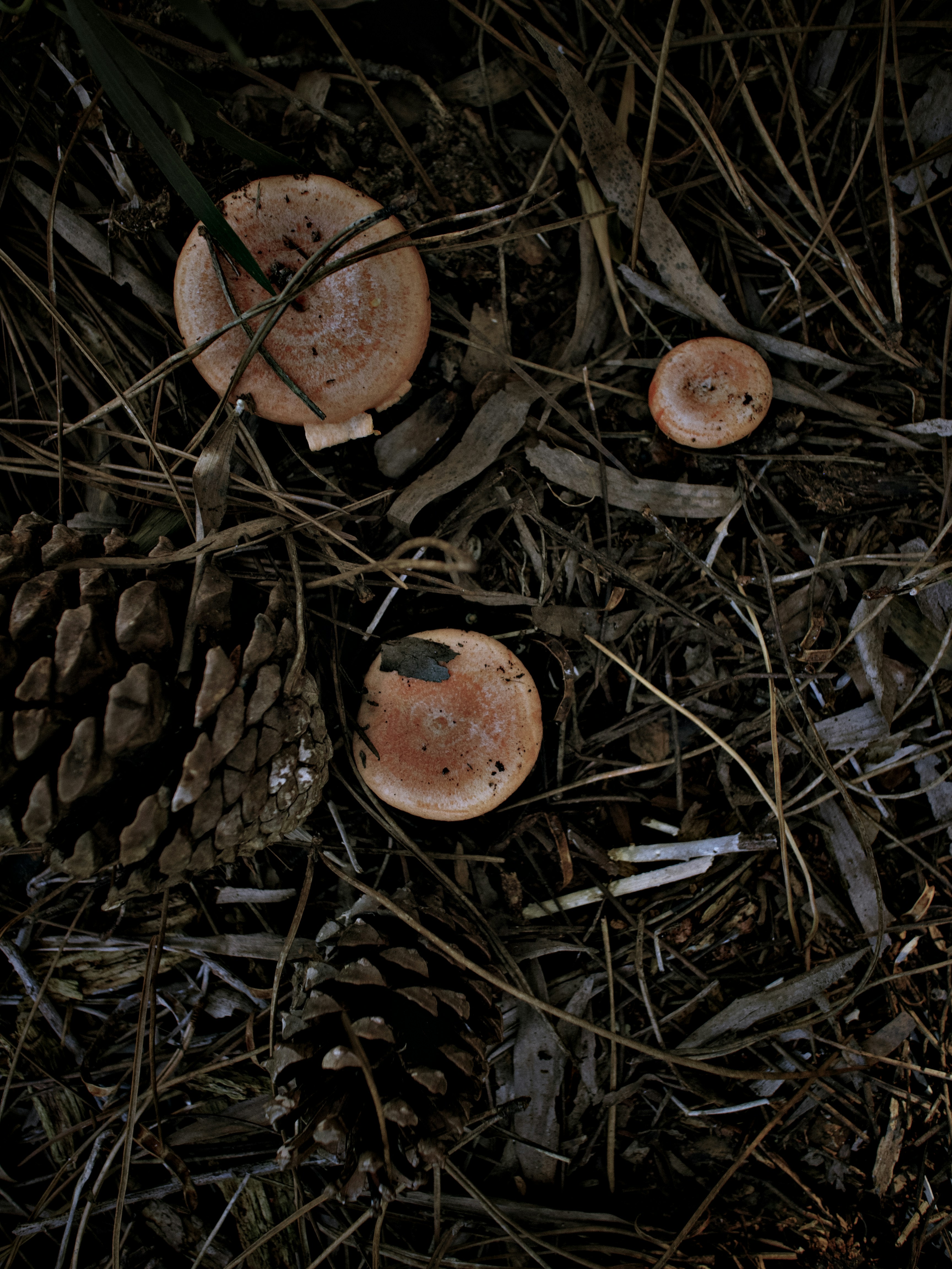 Photo by lucianoparis