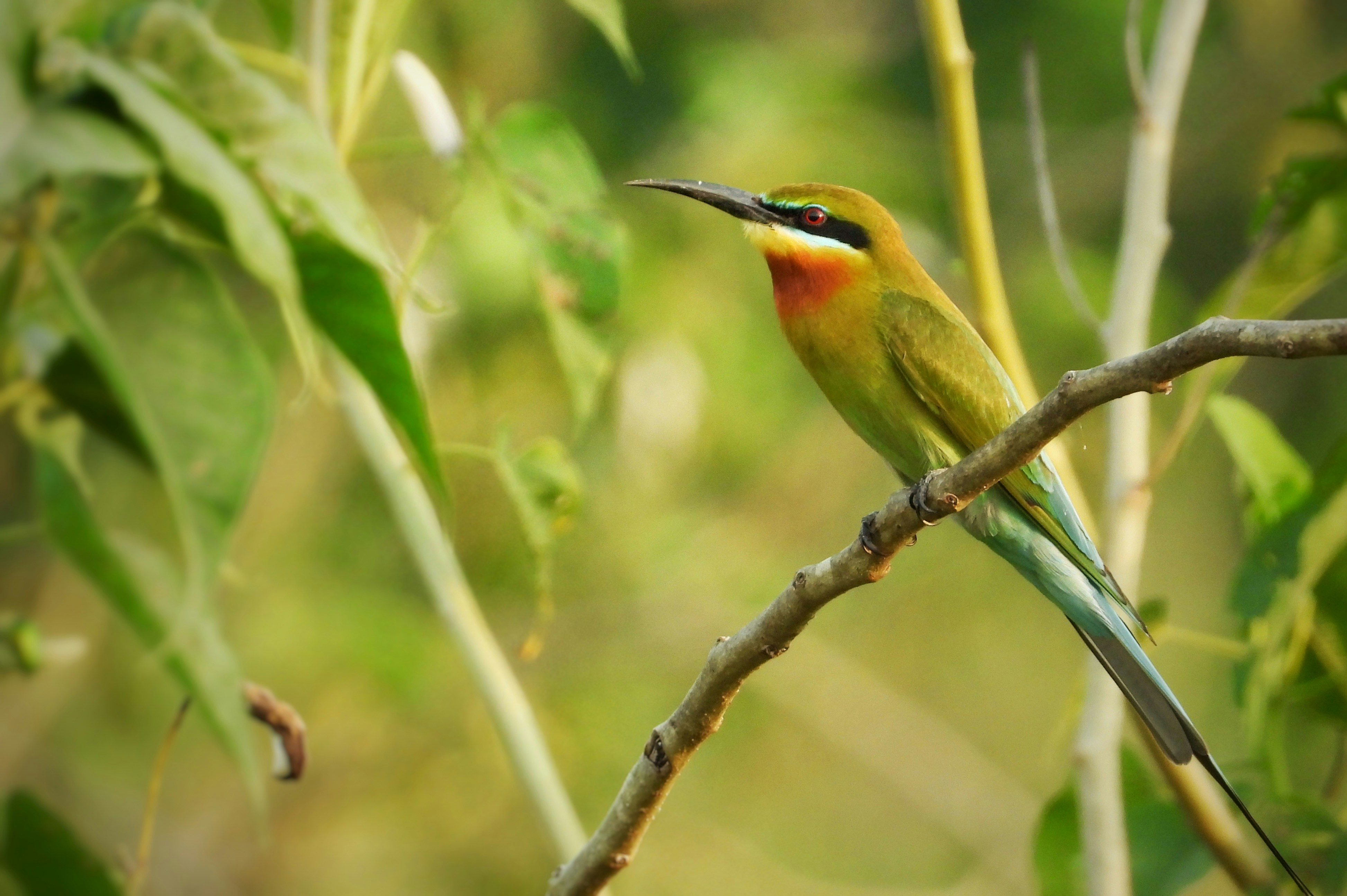 Photo by mooncolonytn60