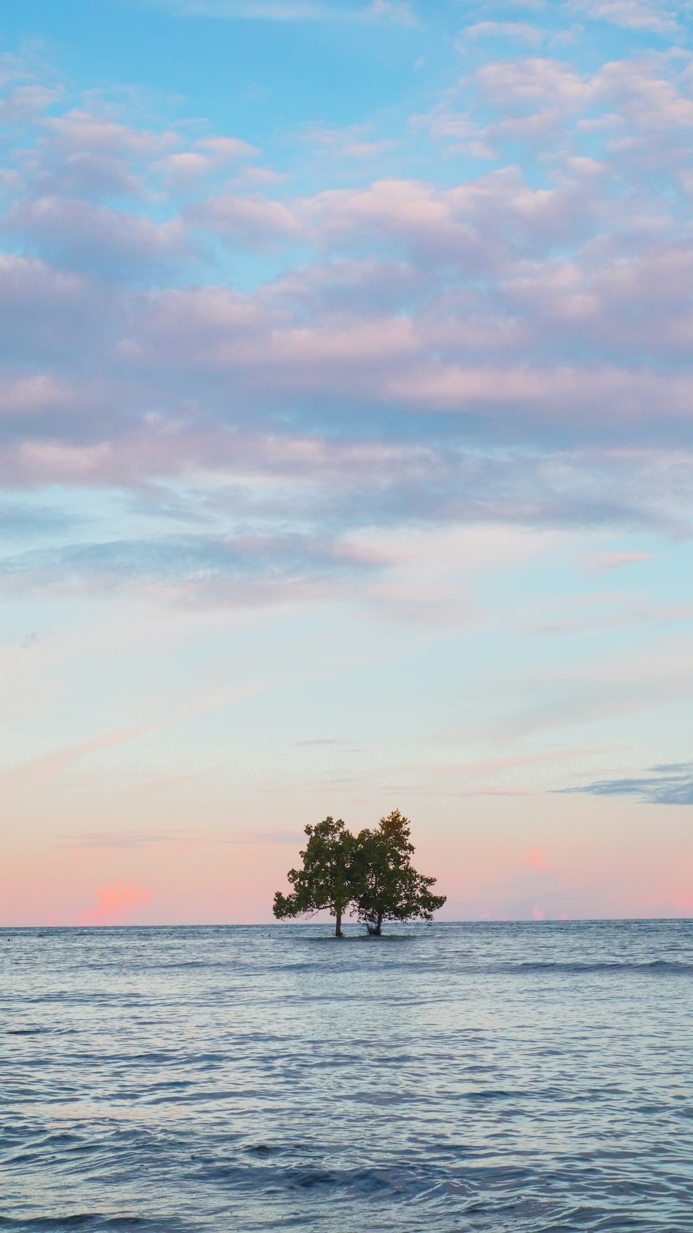 green tree near body of water during daytime