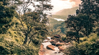 green trees near mountain during daytime