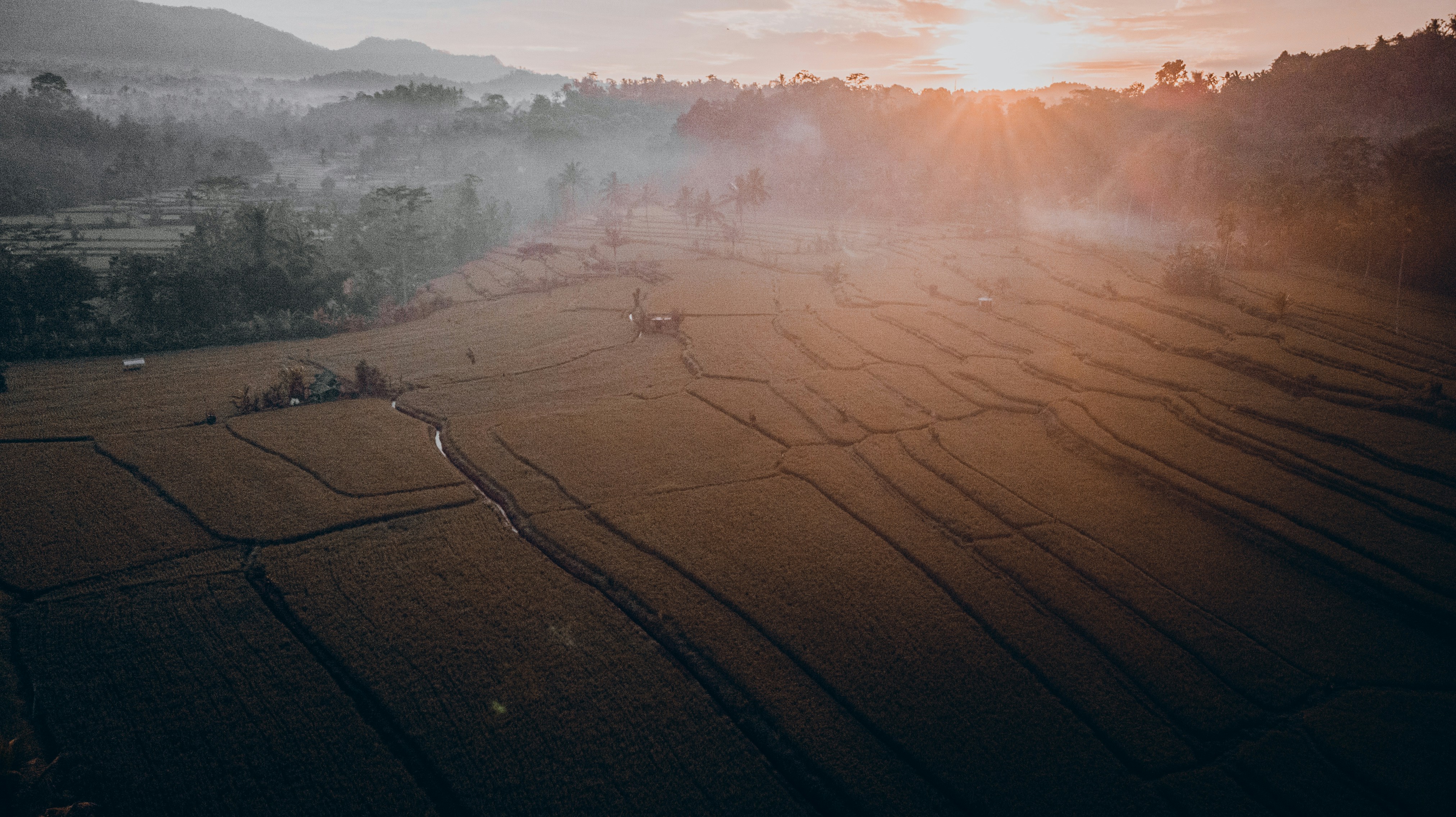 Photo by visualsofdana