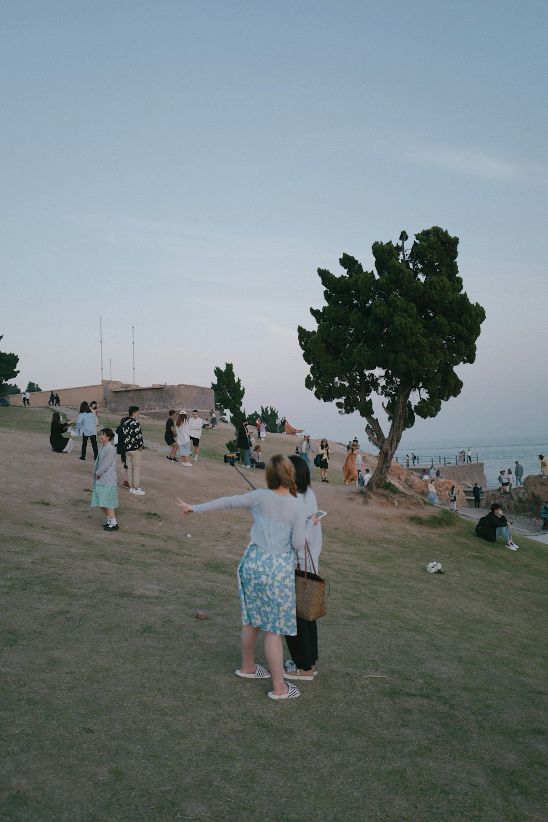 people on green grass field near green tree during daytime