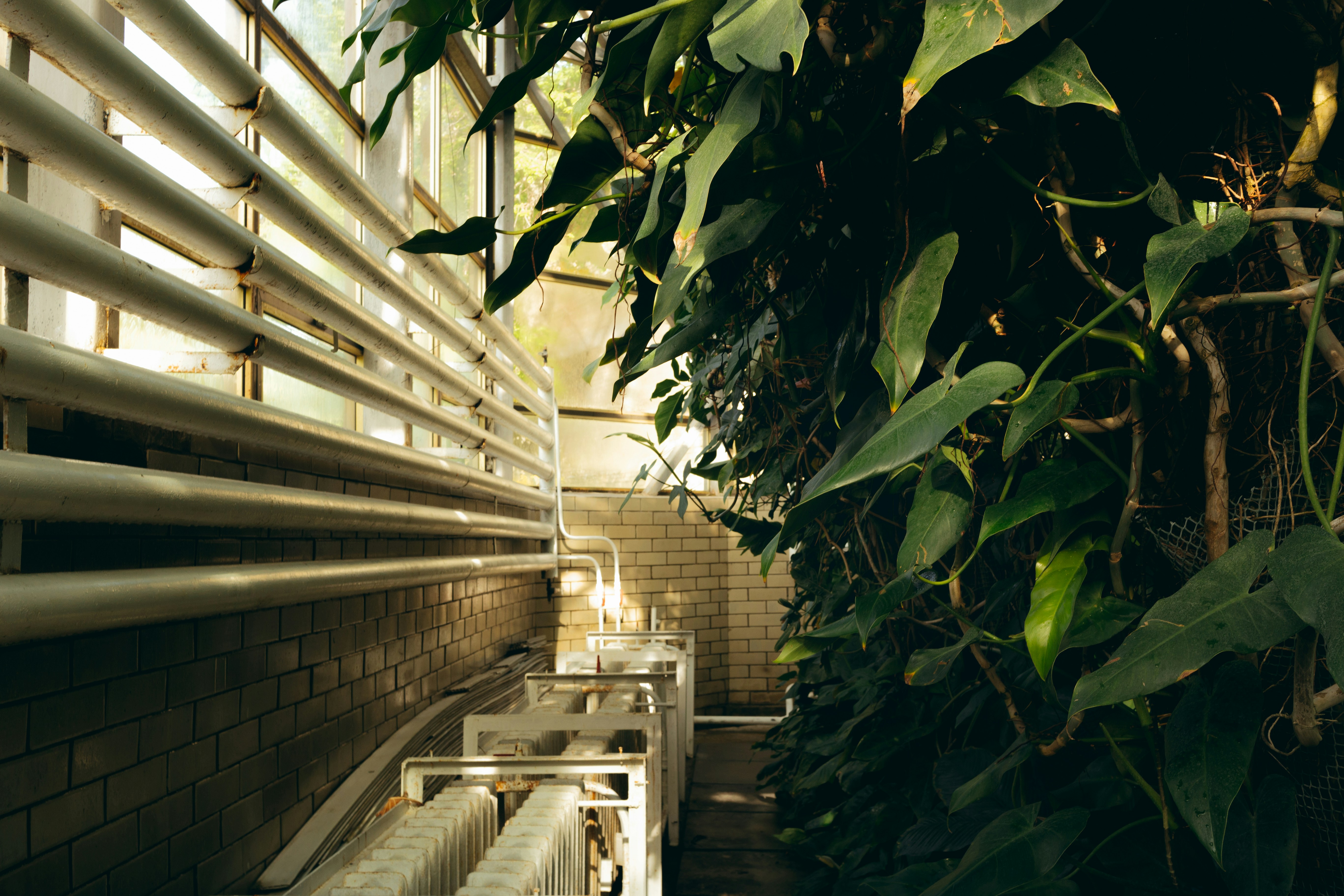 Photo by tobolenkoph