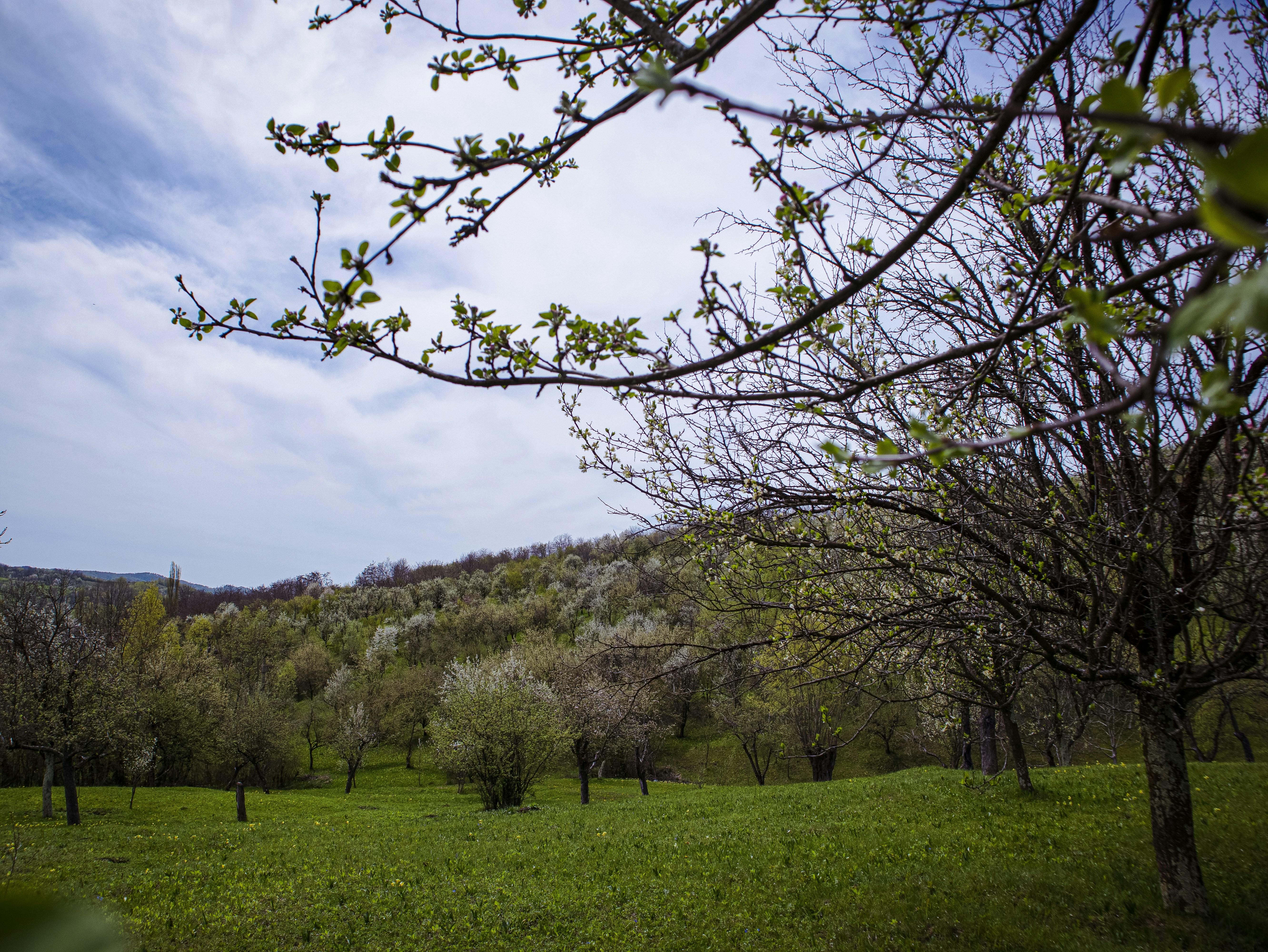 A Hill Country Getaway: Culture, History, and Relaxation in Johnson City, TX