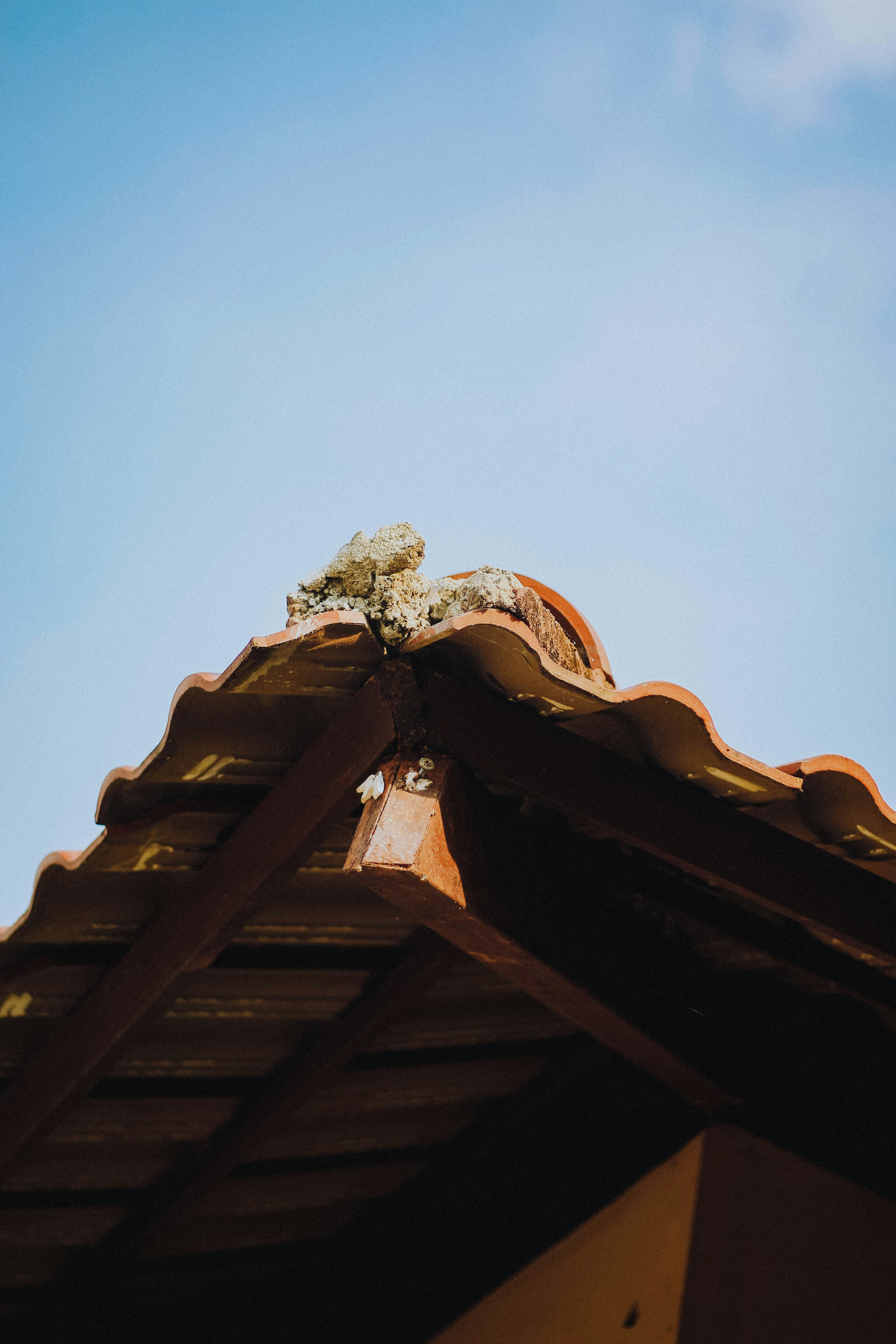 brown roof under blue sky during daytime