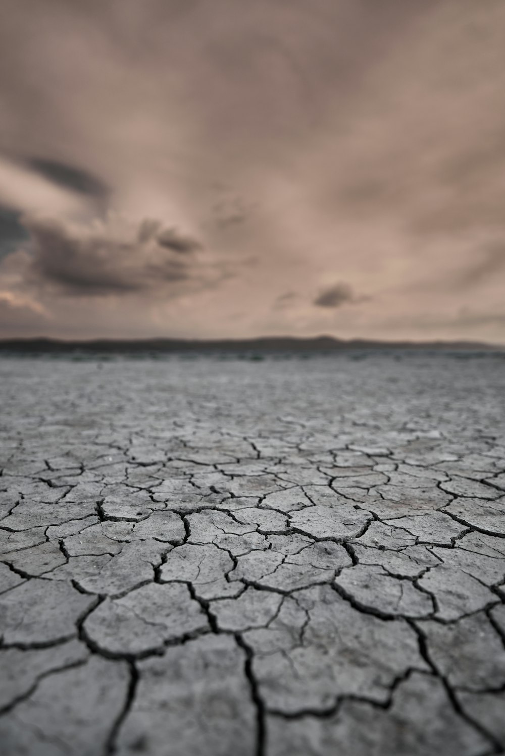 gray concrete pavement during sunset