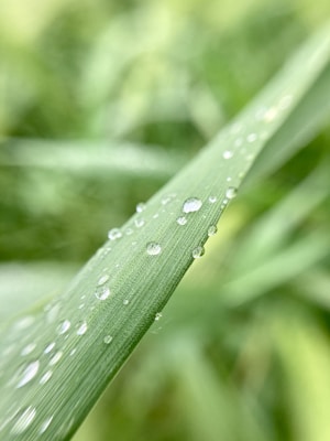 Photo 1621362064131 776fa5ce04f6?q=85&w=800&h=400&fit=crop