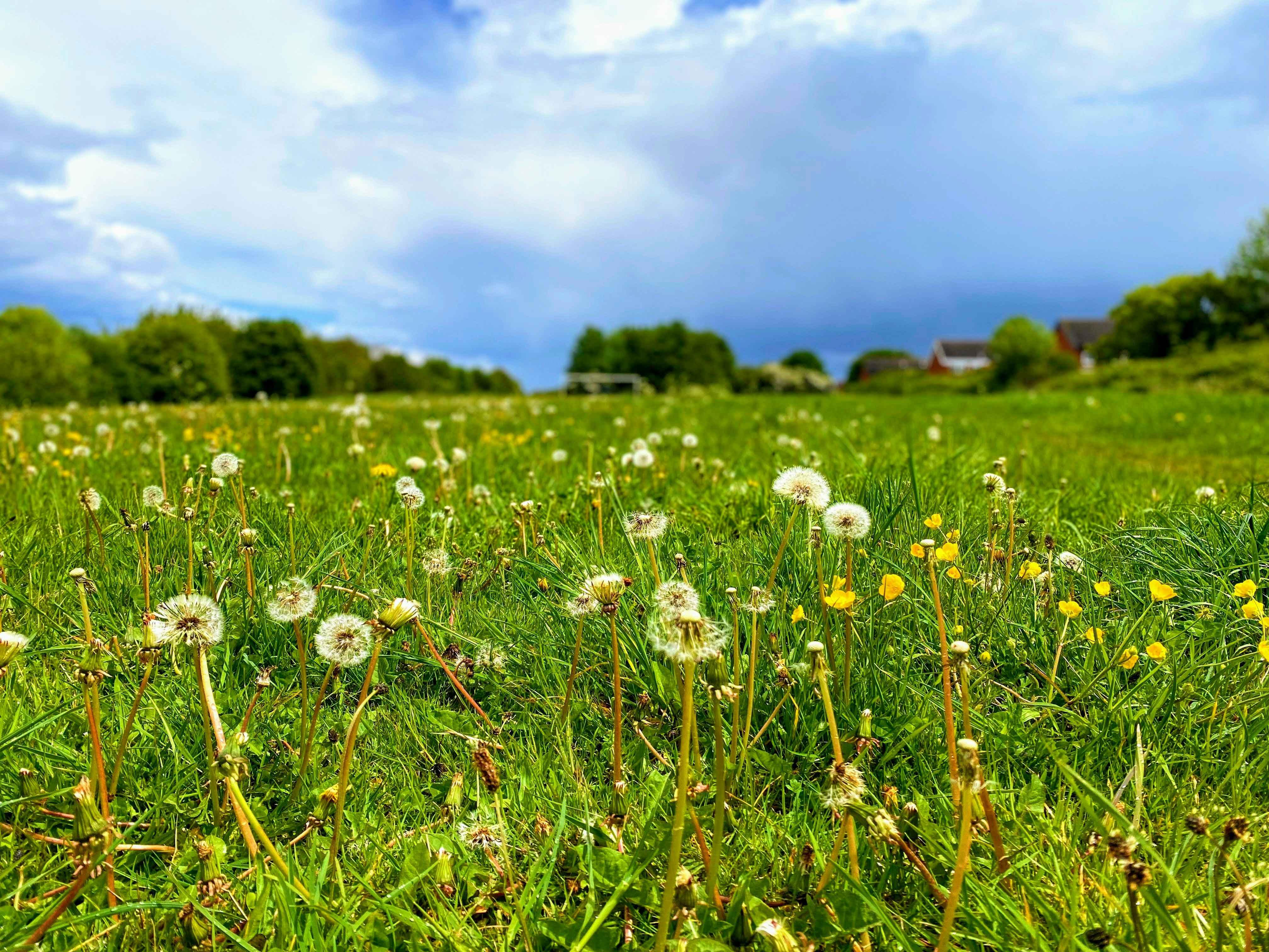 Photo by david_robert_clarke