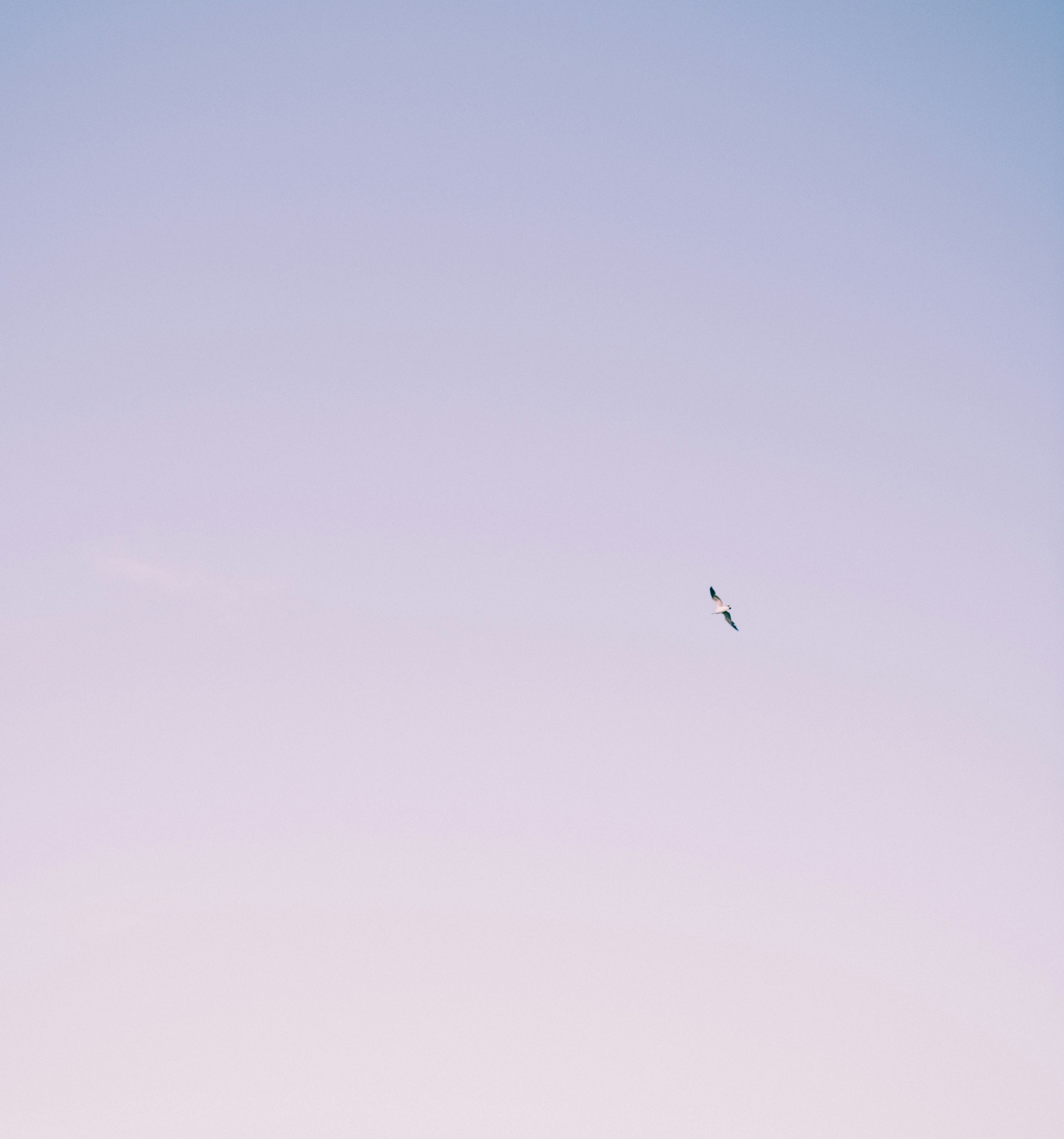 photo-1621362762152-728b7050c673?ixid=M3wxMjA3fDB8MXxzZWFyY2h8MTV8fCVFMCVCOCVBQSVFMCVCOCVBNSVFMCVCOSU4NyVFMCVCOCVBRCVFMCVCOCU5NSUyMCVFMCVCOCVBNSVFMCVCOCVBRCVFMCVCOCU4NyVFMCVCOSU4MCVFMCVCOCVBNSVFMCVCOSU4OCVFMCVCOCU5OSVFMCVCOCU5RiVFMCVCOCVBMyVFMCVCOCVCNXxlbnwwfHx8fDE3NTU5OTY4NTF8MA\u0026ixlib=rb-4.1.0
