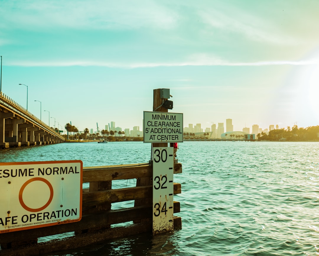 brown wooden dock on body of water during daytime