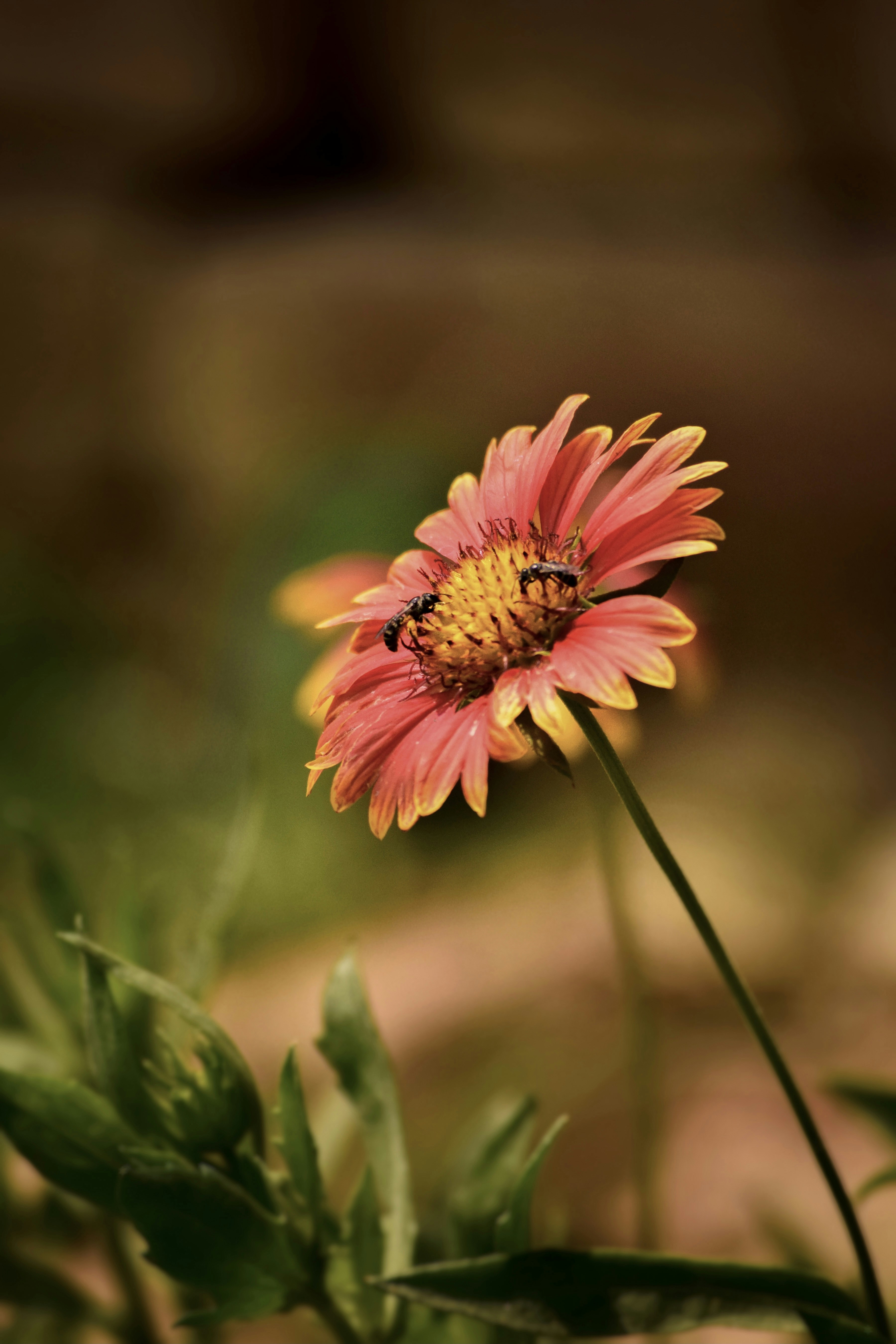 Photo by abdulsamad1211