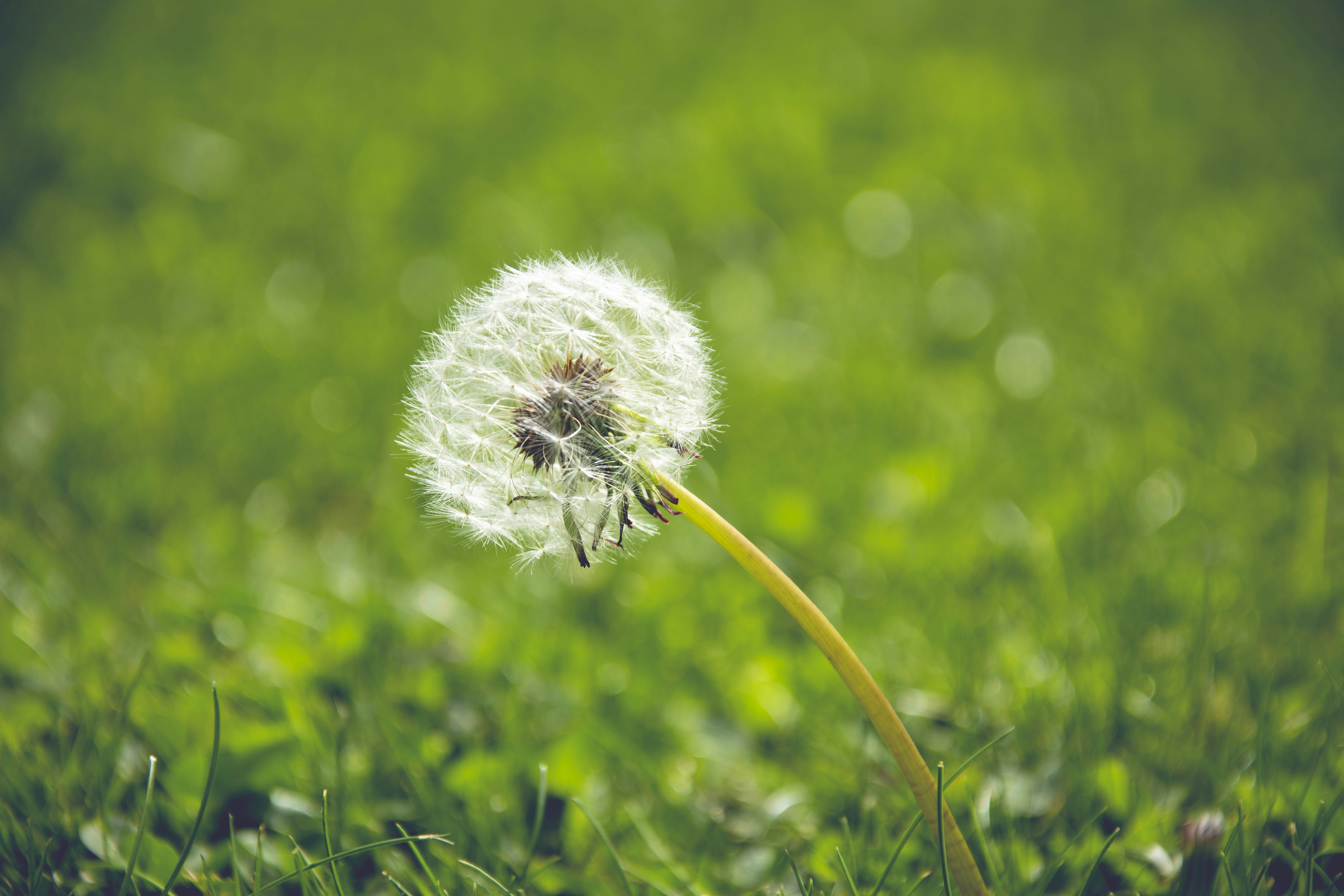 Photo by kevphotomcr