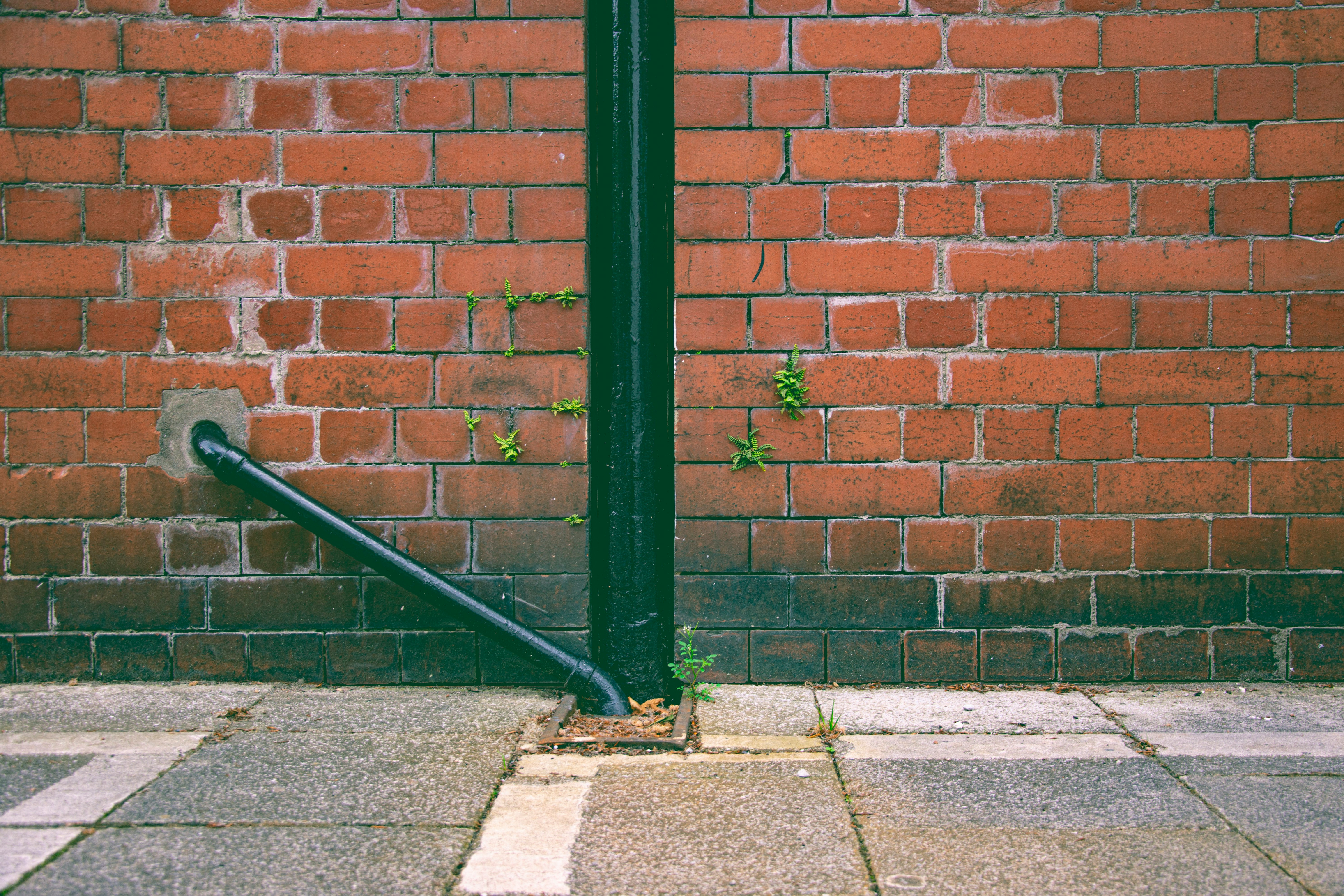green metal pole beside brown brick wall