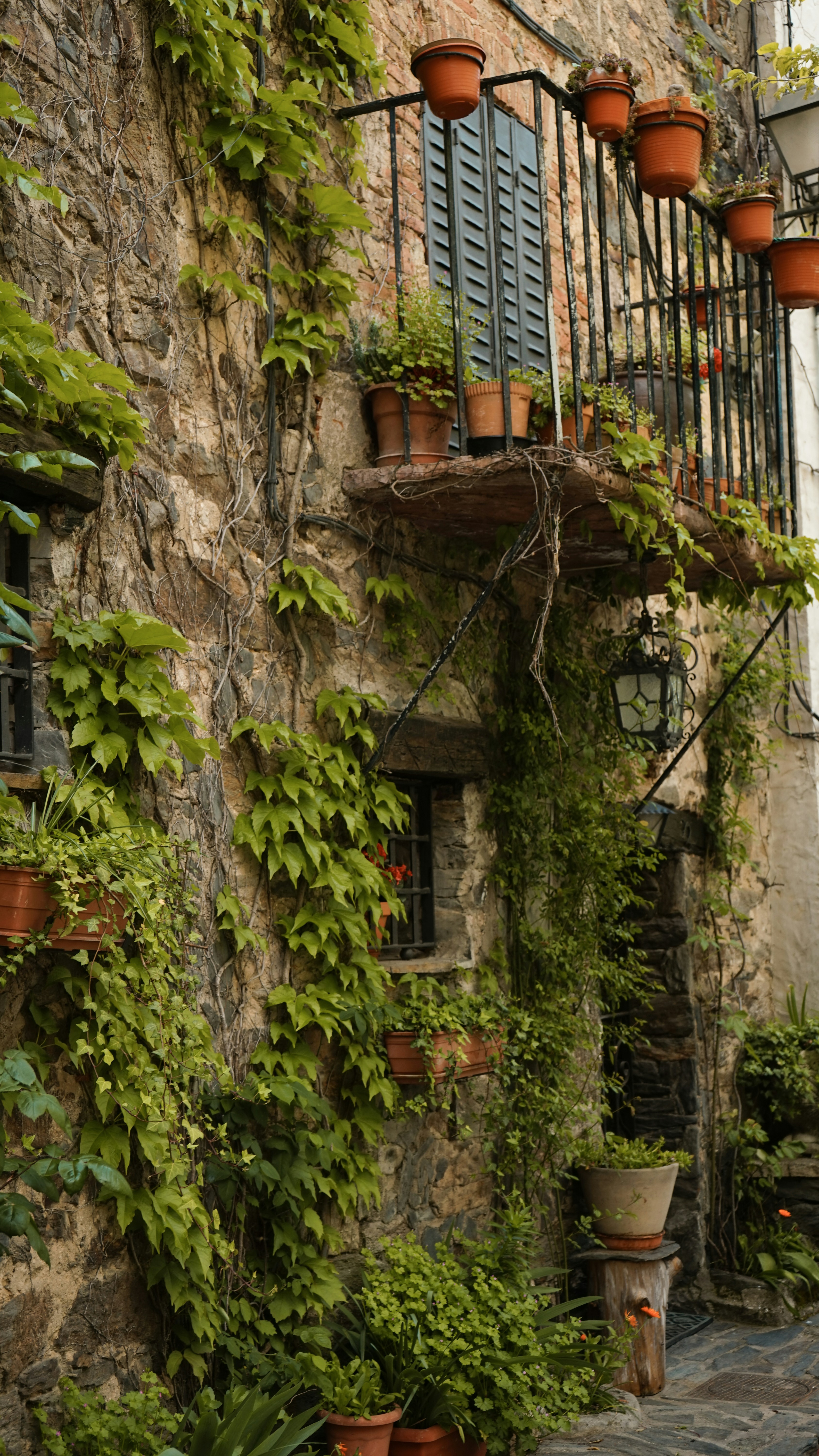 Photo by josedibattista