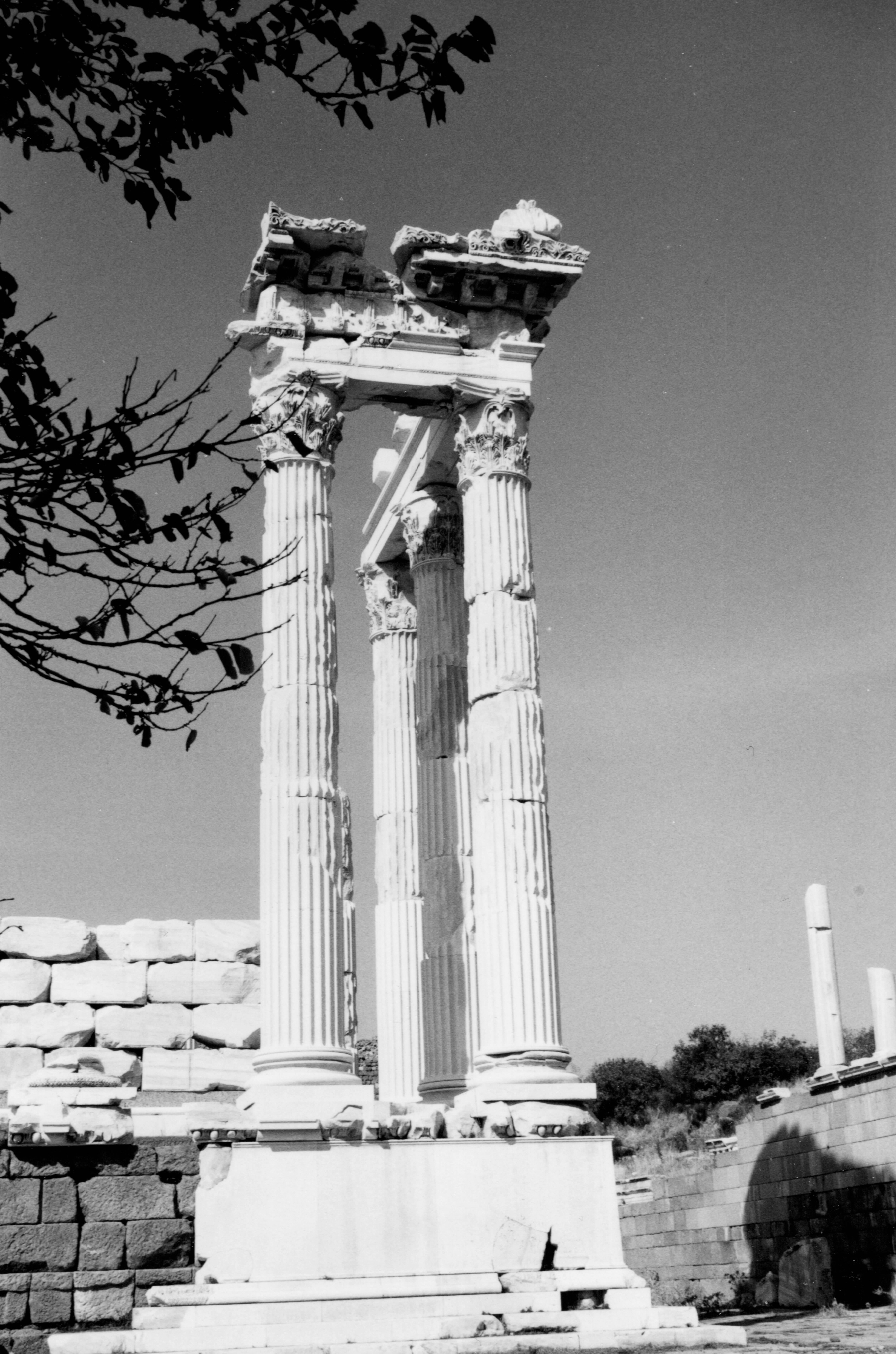 Photo by peterburdon