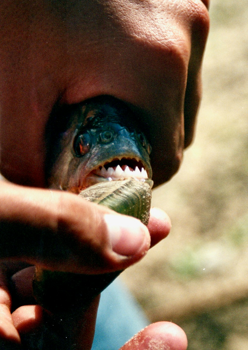 person with blue and black paint on his mouth