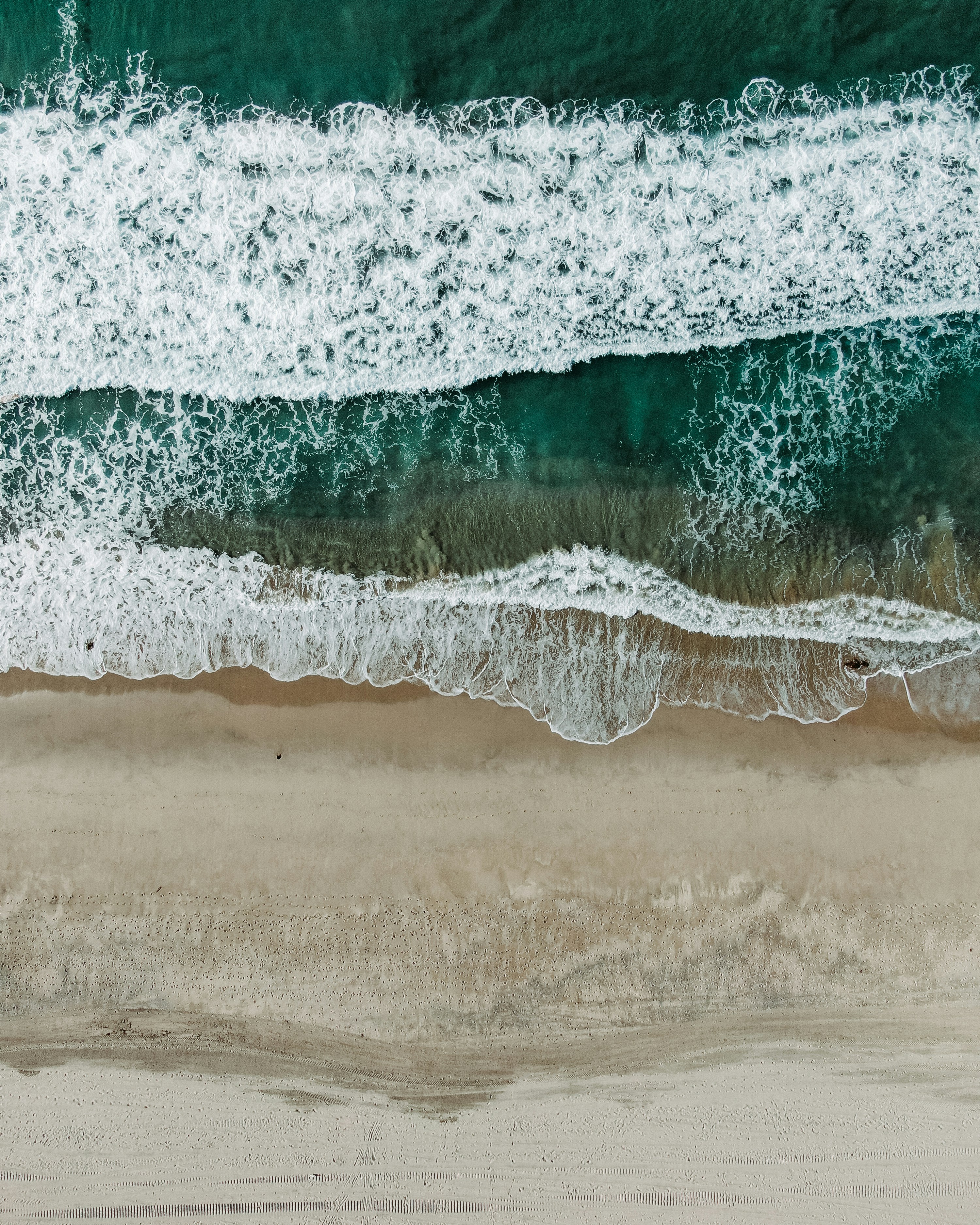 Photo by dfritomedia