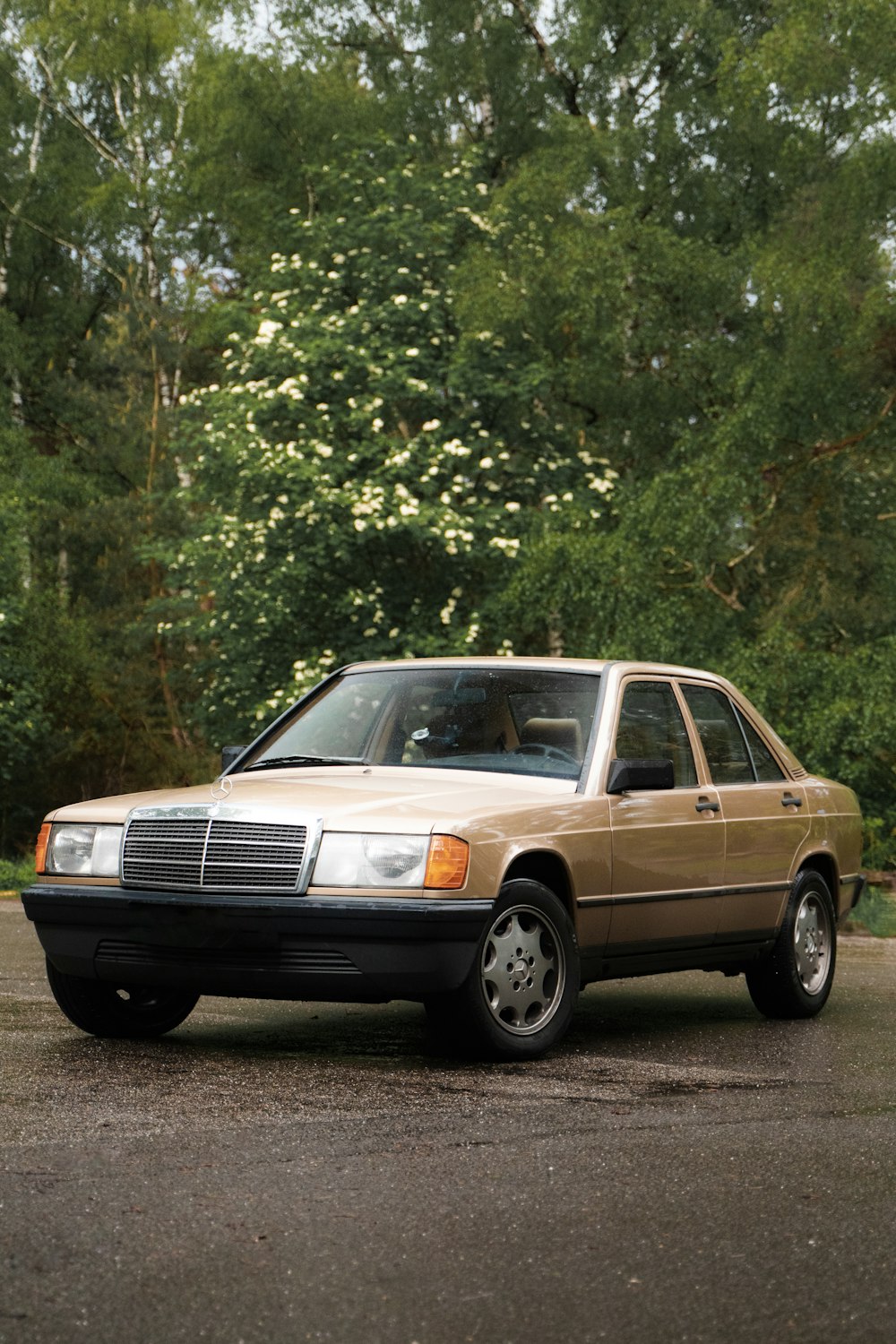 white sedan parked near green trees during daytime