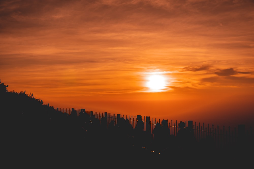 silhouette of trees during sunset