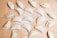 Multiple uncooked empanadas are arranged on a floured wooden surface. Each empanada is folded and sealed in a variety of styles, with some having intricate braided edges and others simple, rounded edges. The background is lightly dusted with flour, adding to the preparation theme.